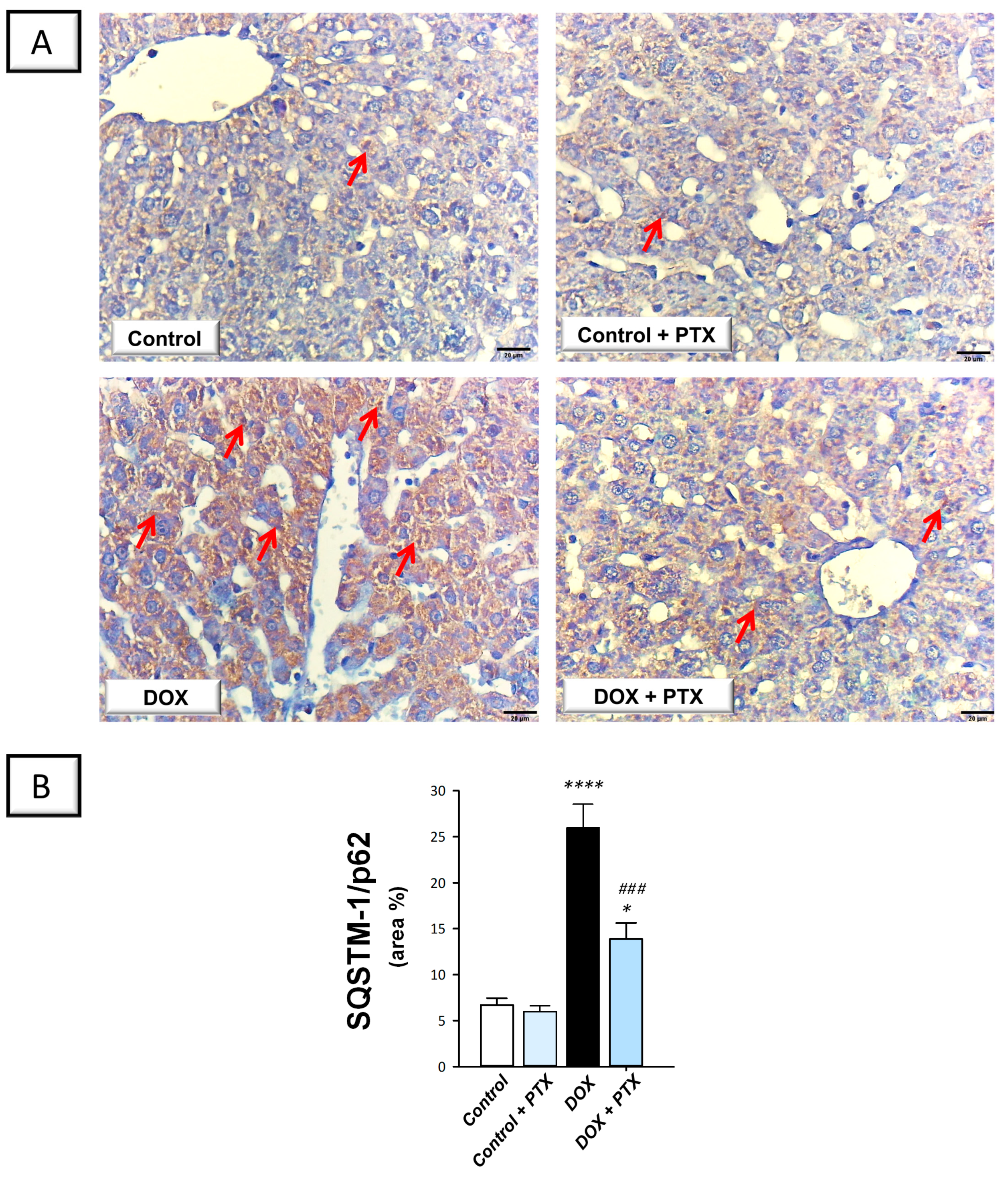 Pharmaceuticals 17 00681 g007