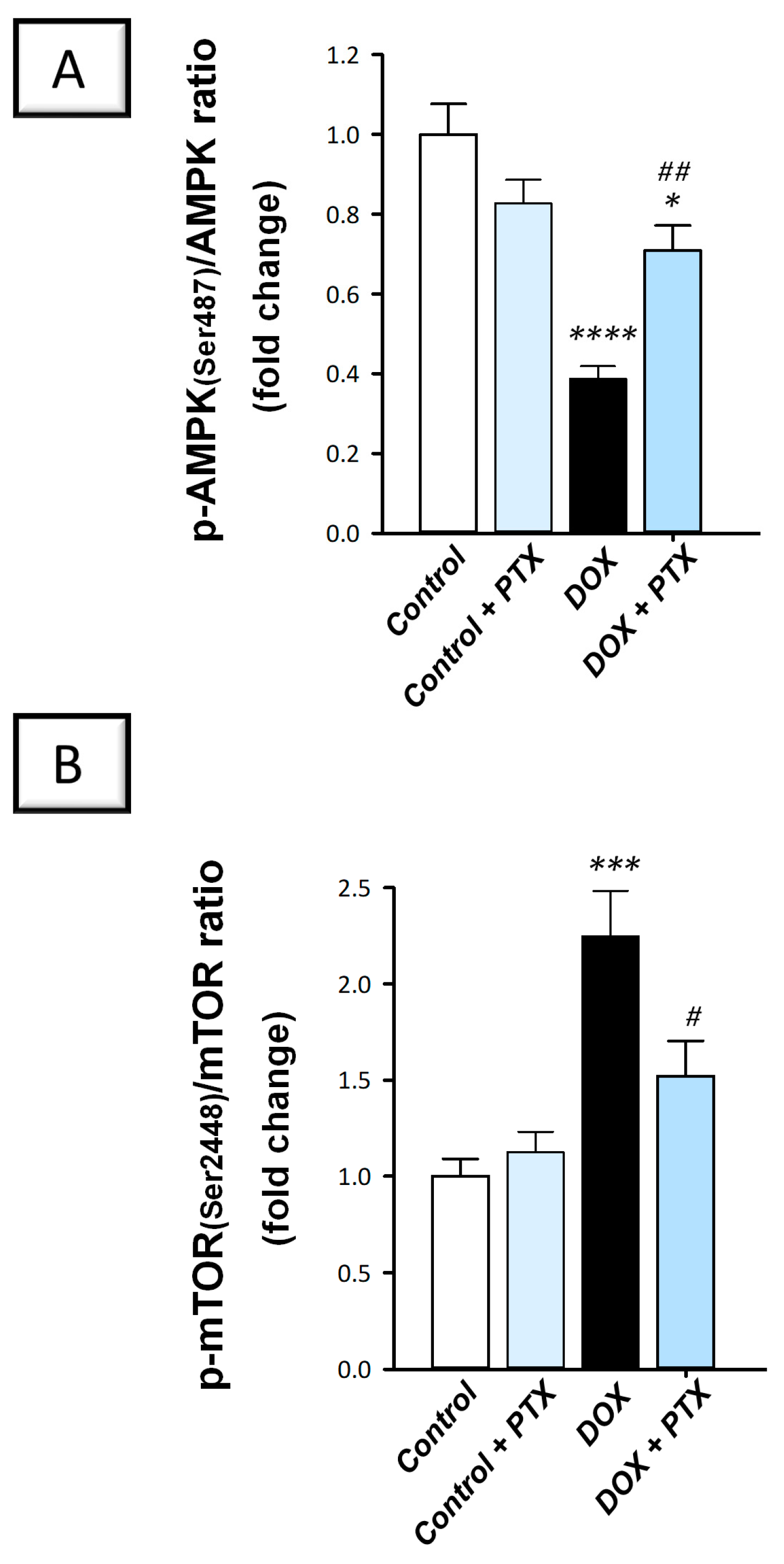 Pharmaceuticals 17 00681 g009