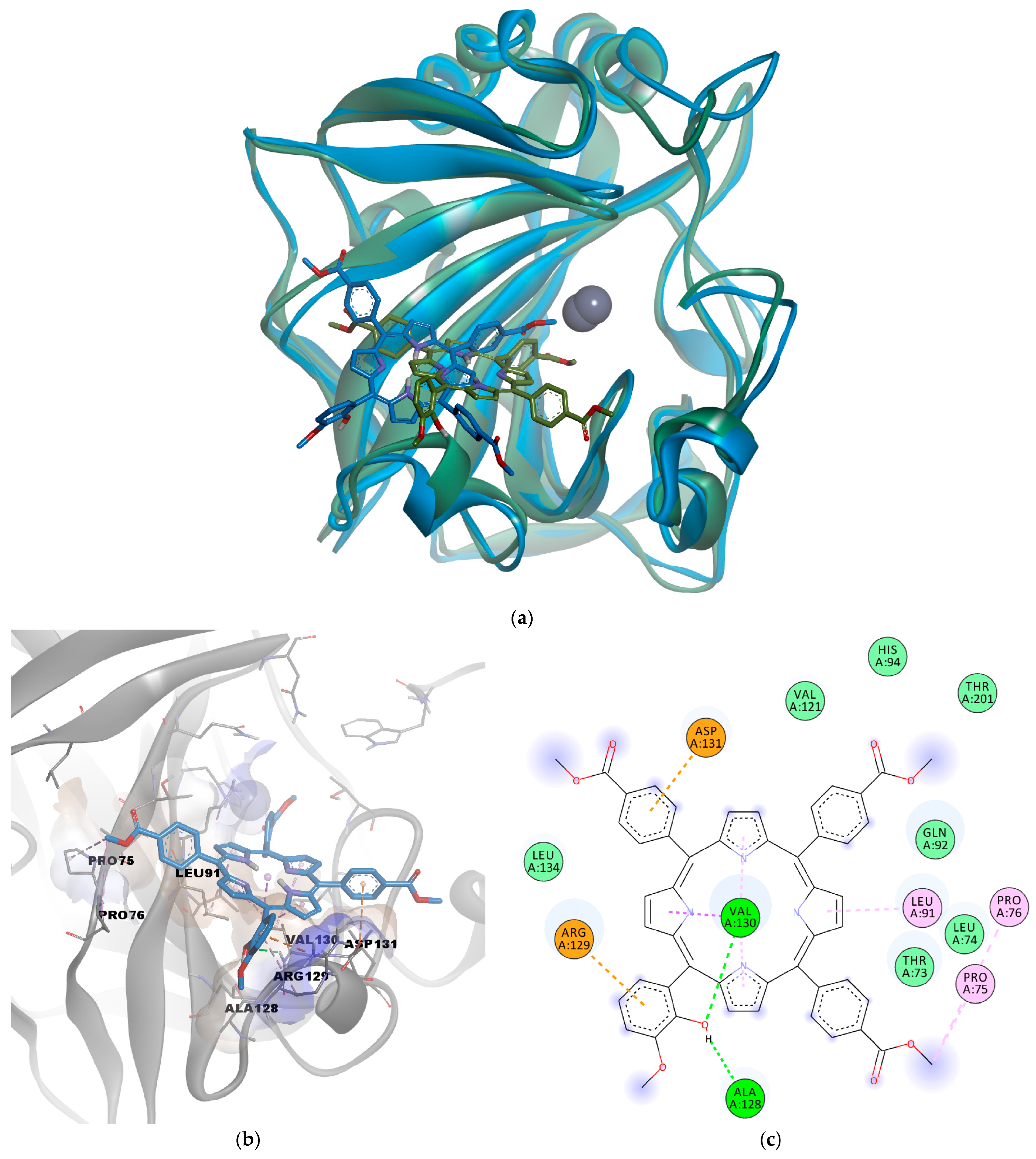 Pharmaceuticals 17 00688 g005