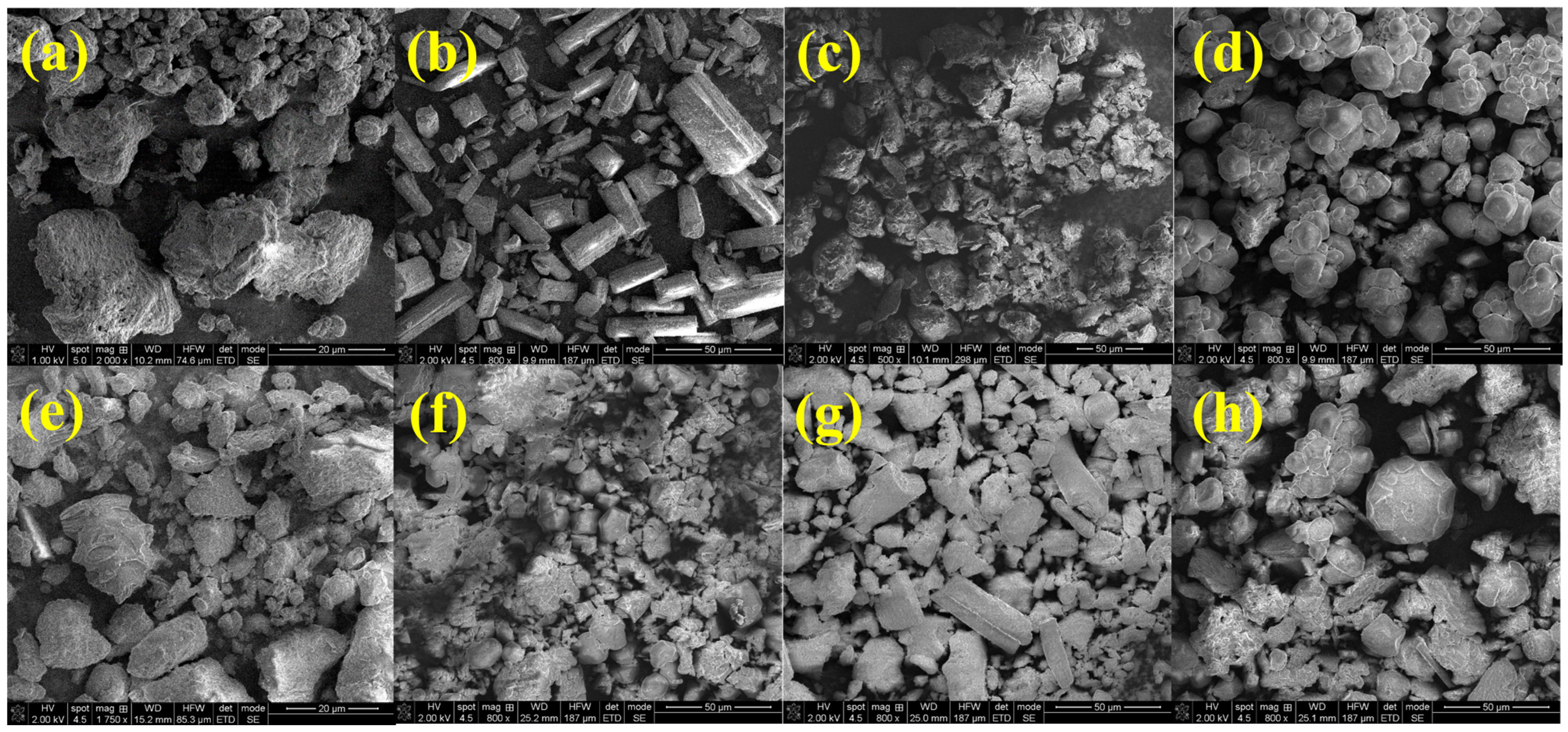 Pharmaceuticals 17 00690 g004