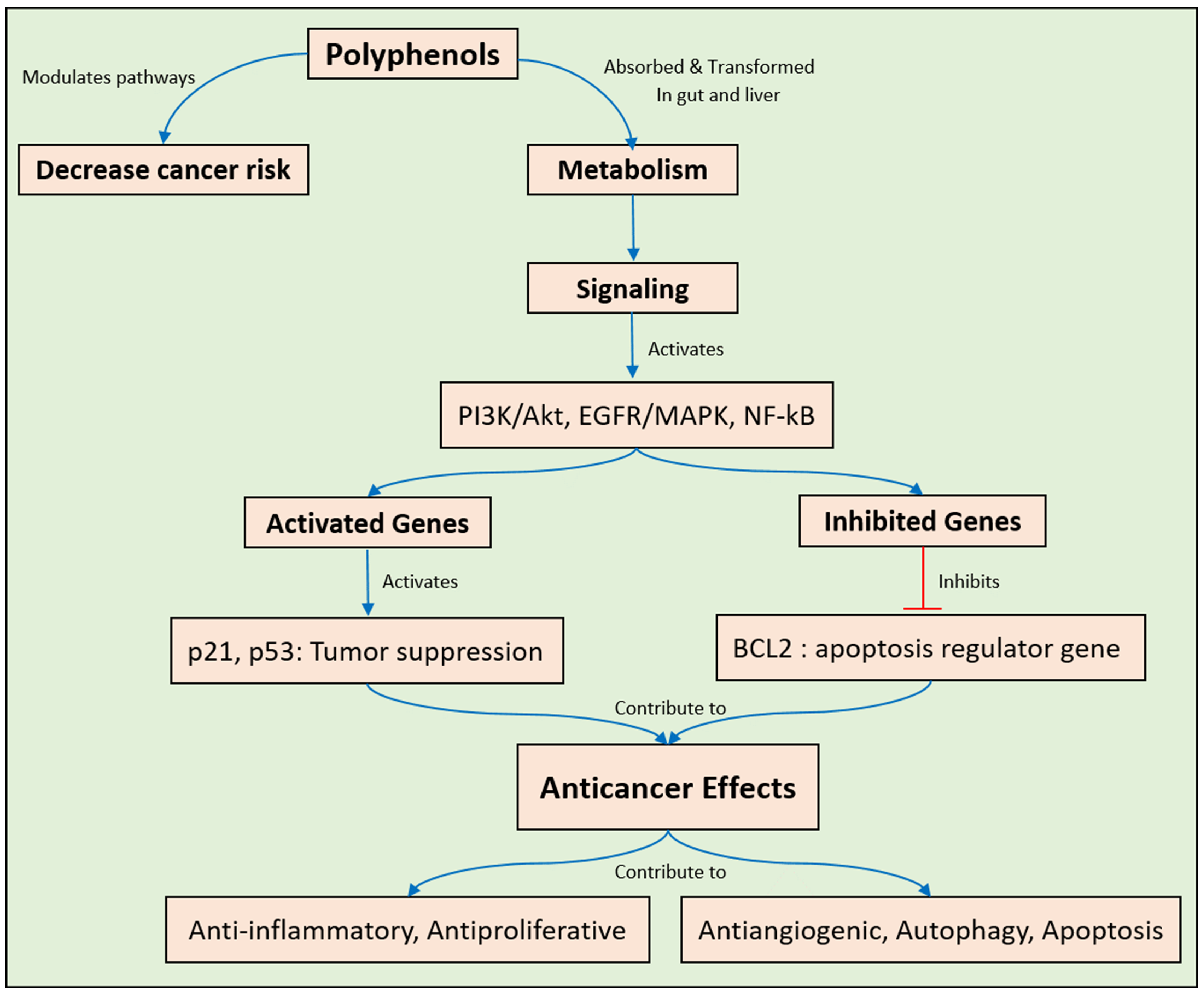 Pharmaceuticals 17 00692 g002 Pharmaceuticals 17 00692 g002