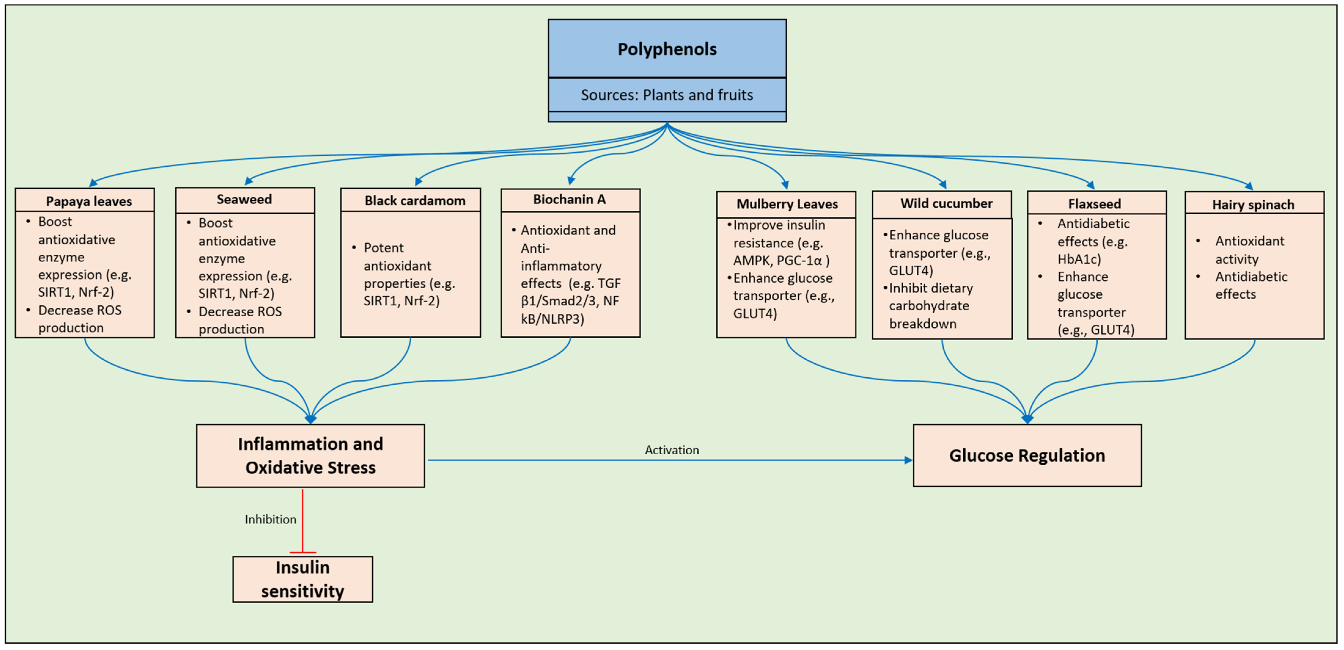 Pharmaceuticals 17 00692 g004 Pharmaceuticals 17 00692 g004