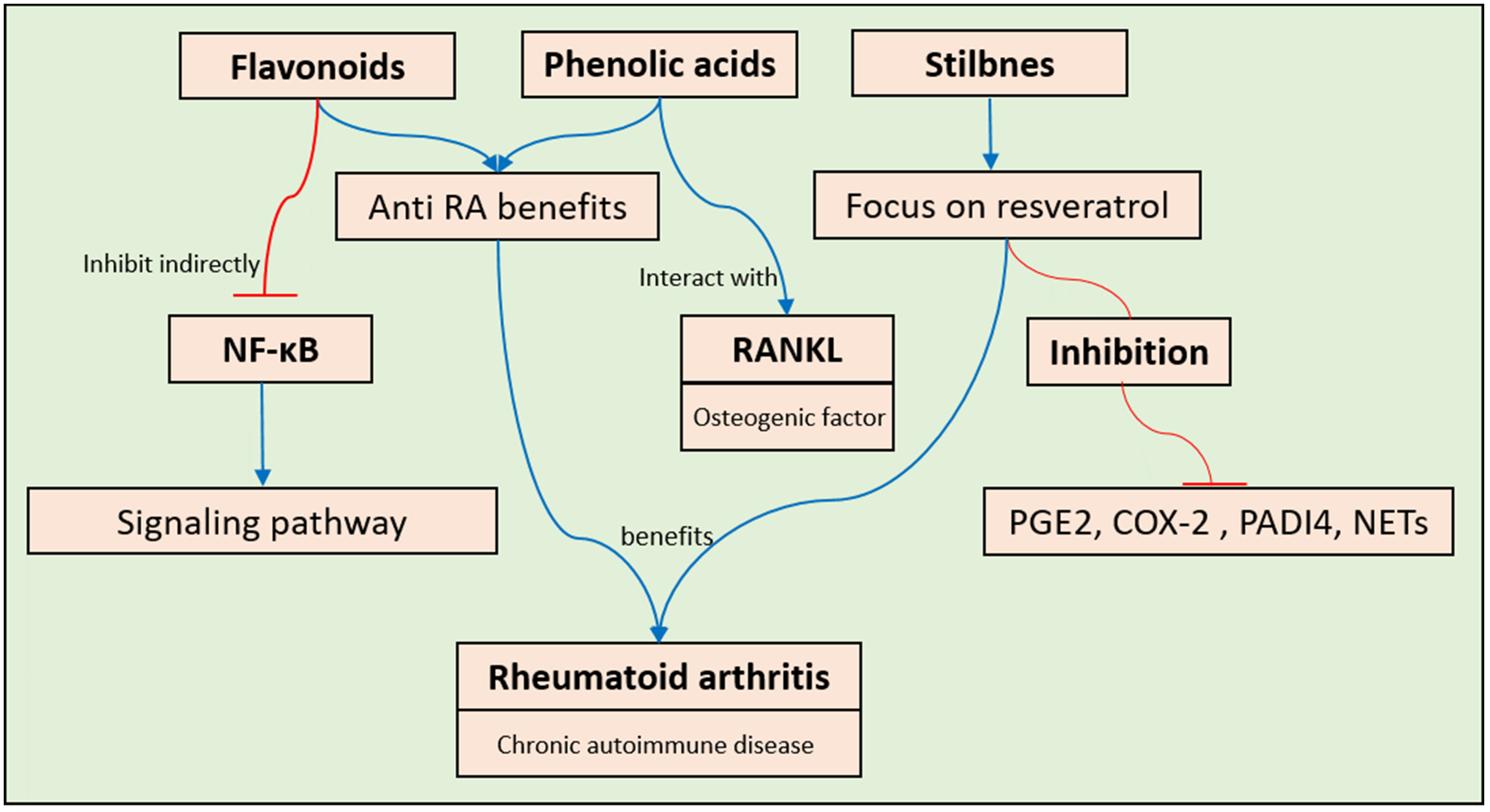 Pharmaceuticals 17 00692 g005 Pharmaceuticals 17 00692 g005