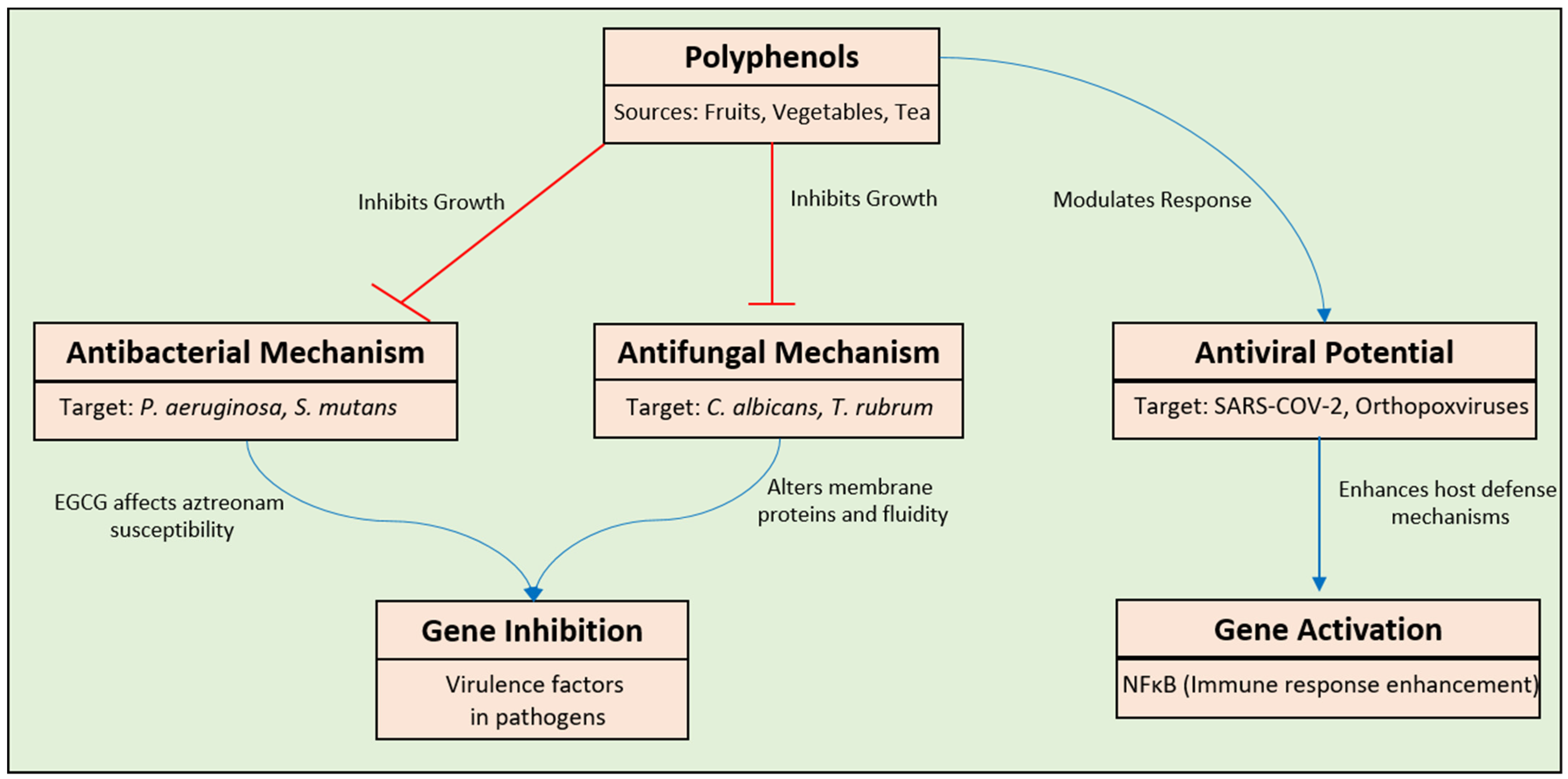 Pharmaceuticals 17 00692 g006 Pharmaceuticals 17 00692 g006