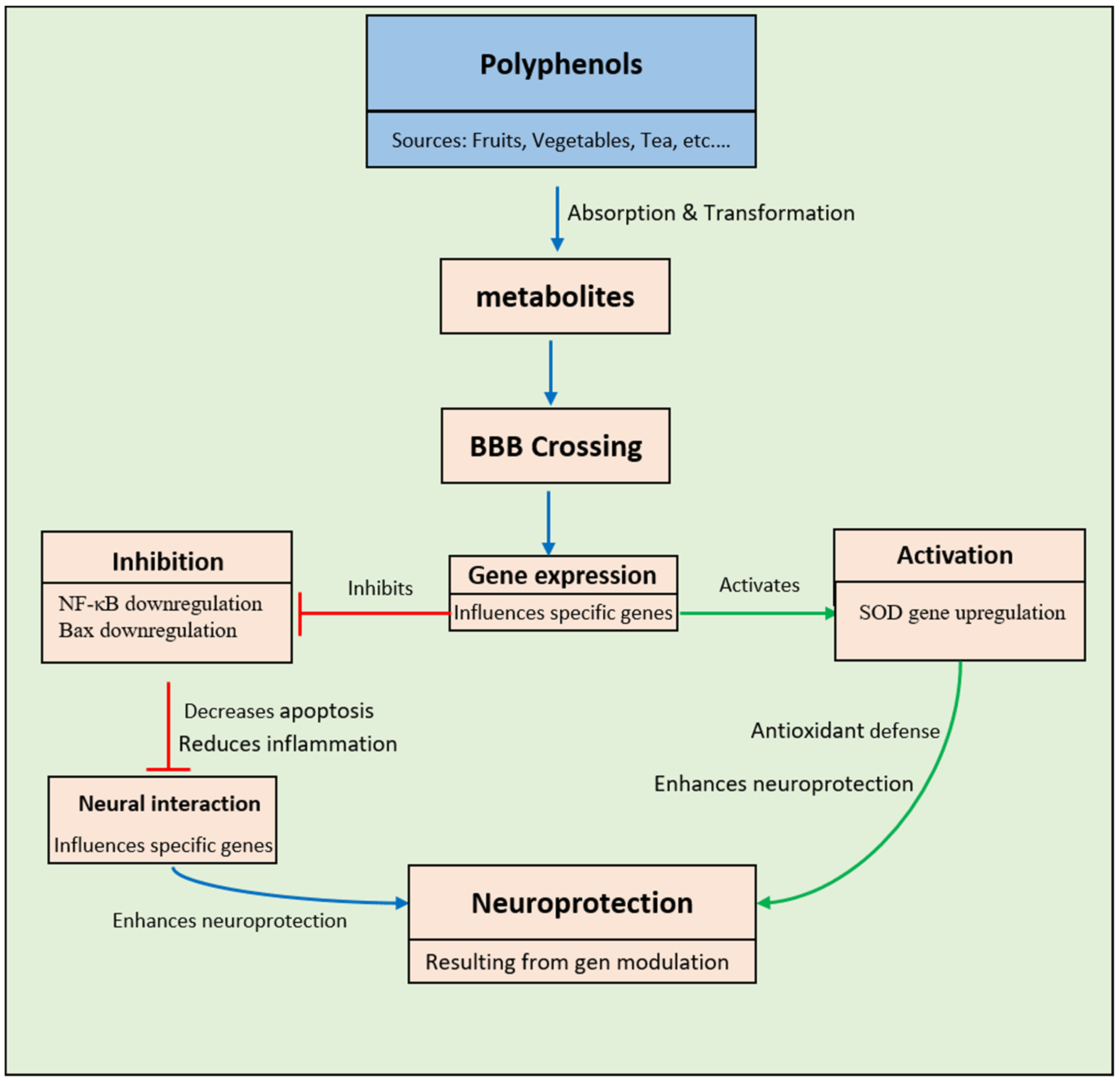 Pharmaceuticals 17 00692 g008 Pharmaceuticals 17 00692 g008