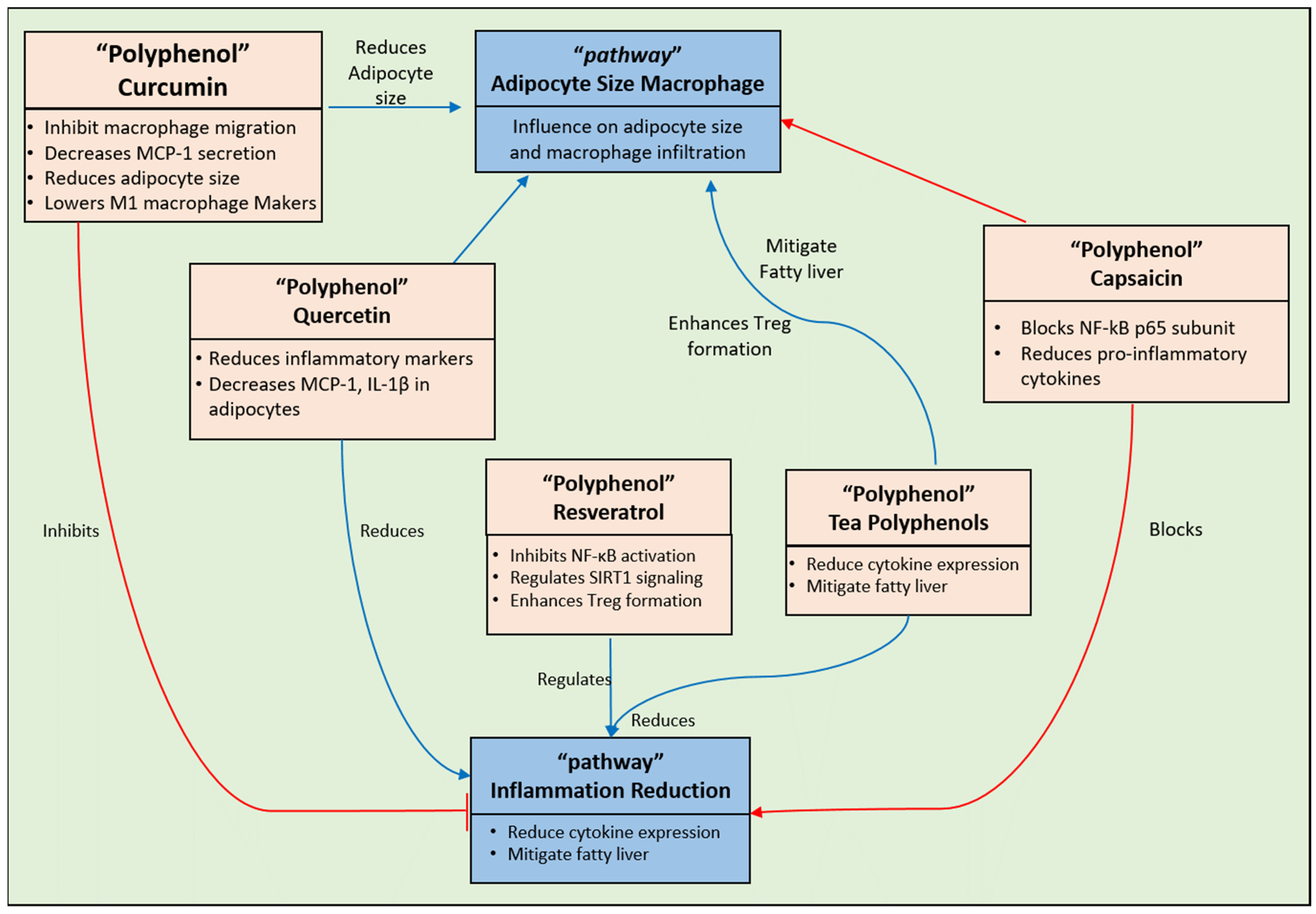 Pharmaceuticals 17 00692 g009 Pharmaceuticals 17 00692 g009