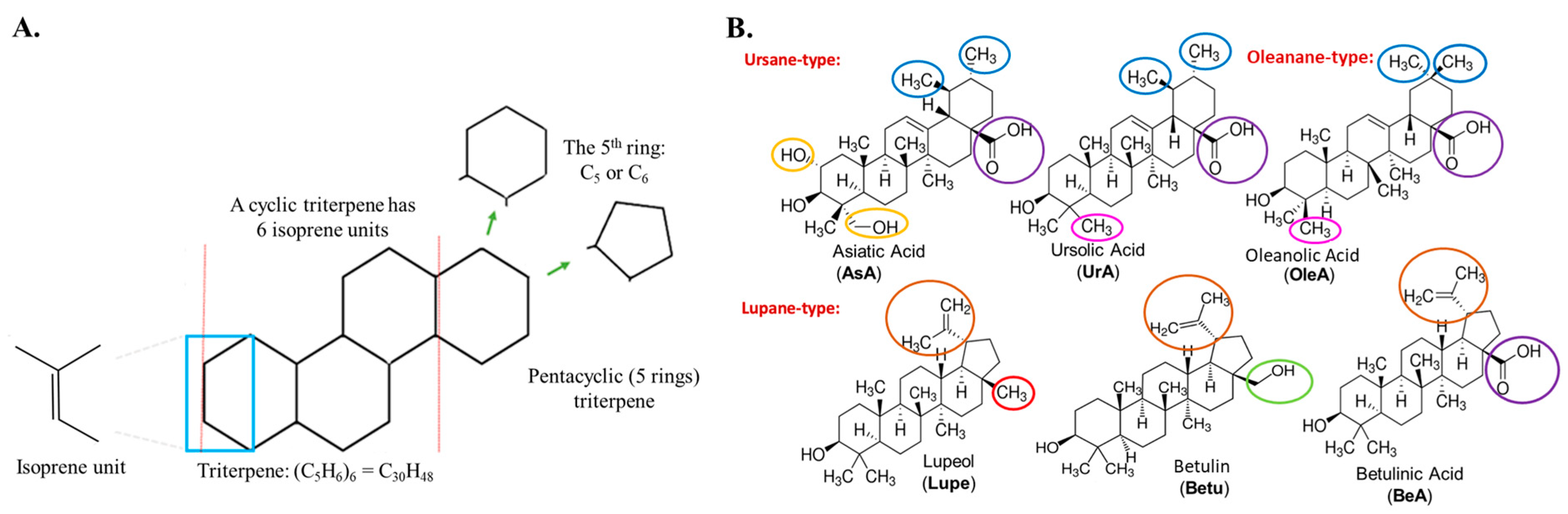 Pharmaceuticals 17 00694 g001