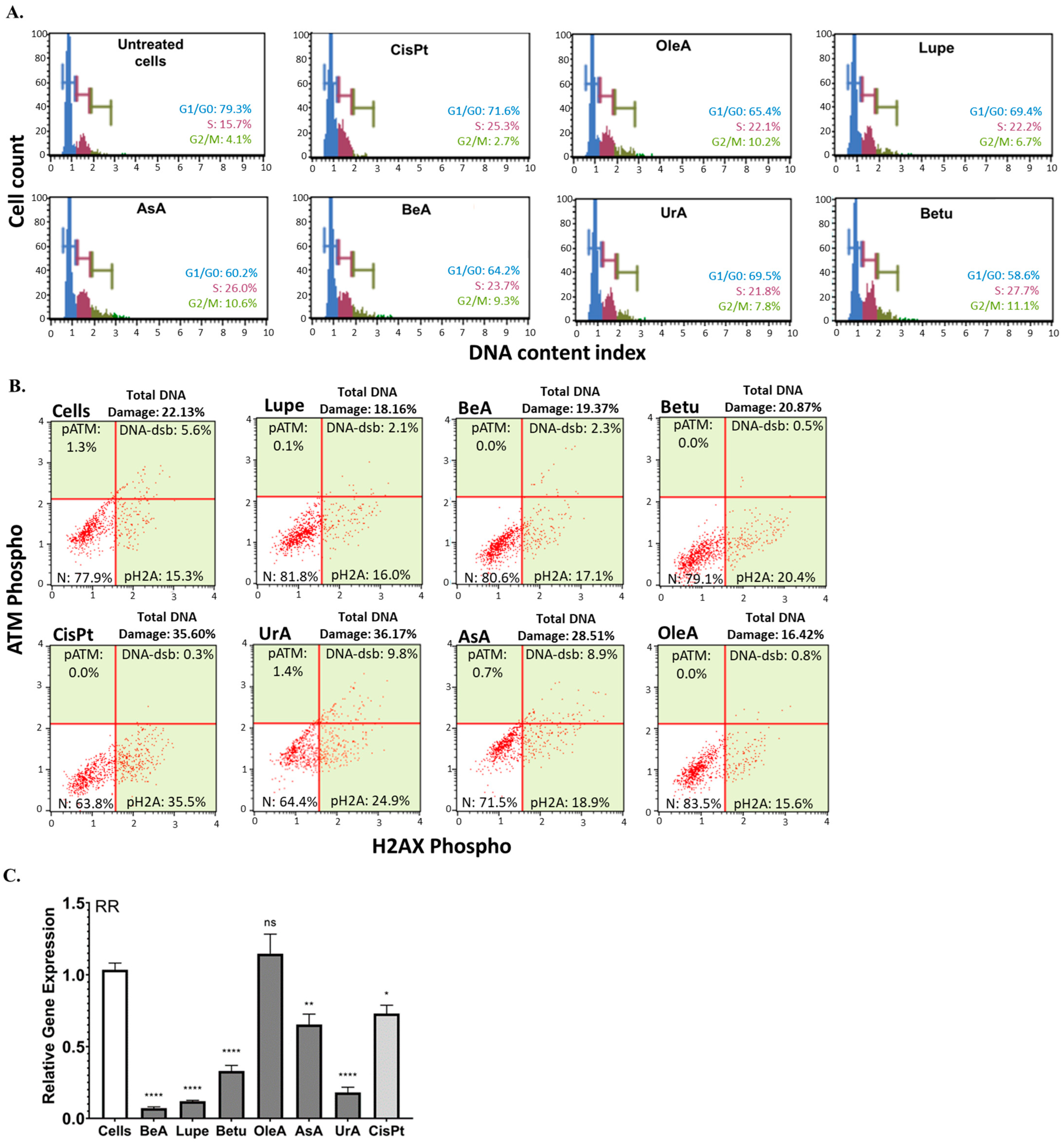 Pharmaceuticals 17 00694 g003