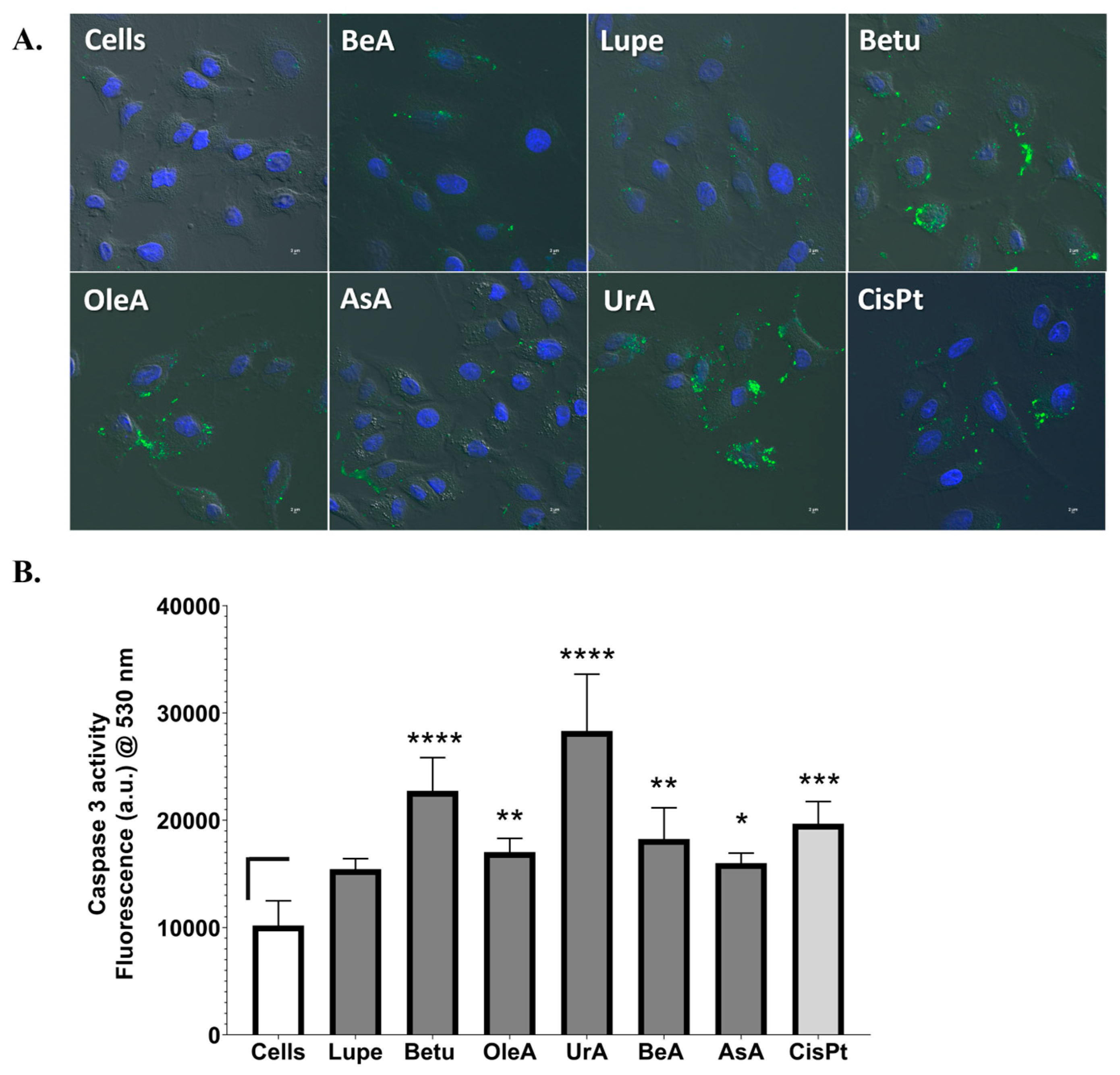 Pharmaceuticals 17 00694 g004
