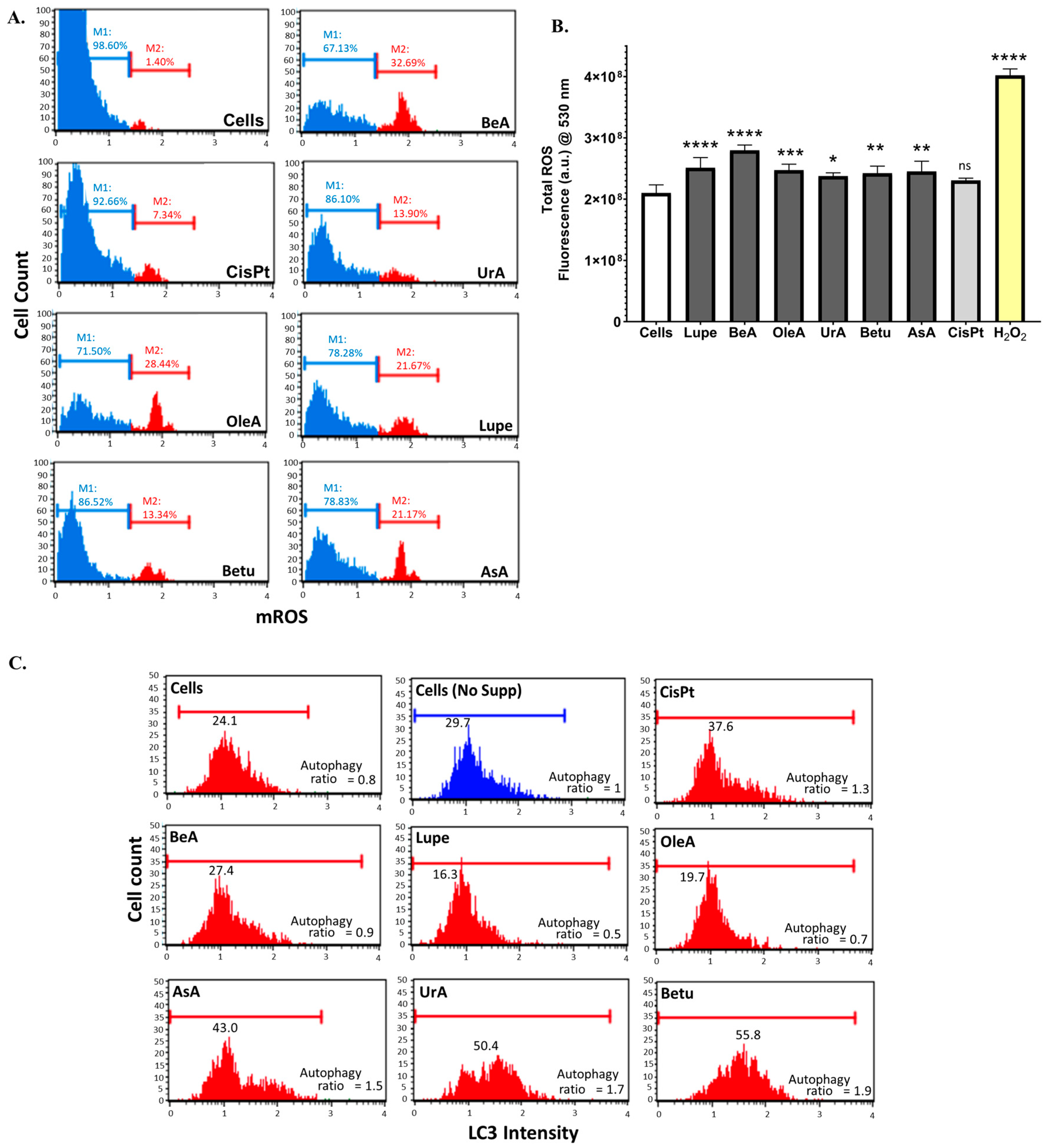 Pharmaceuticals 17 00694 g005