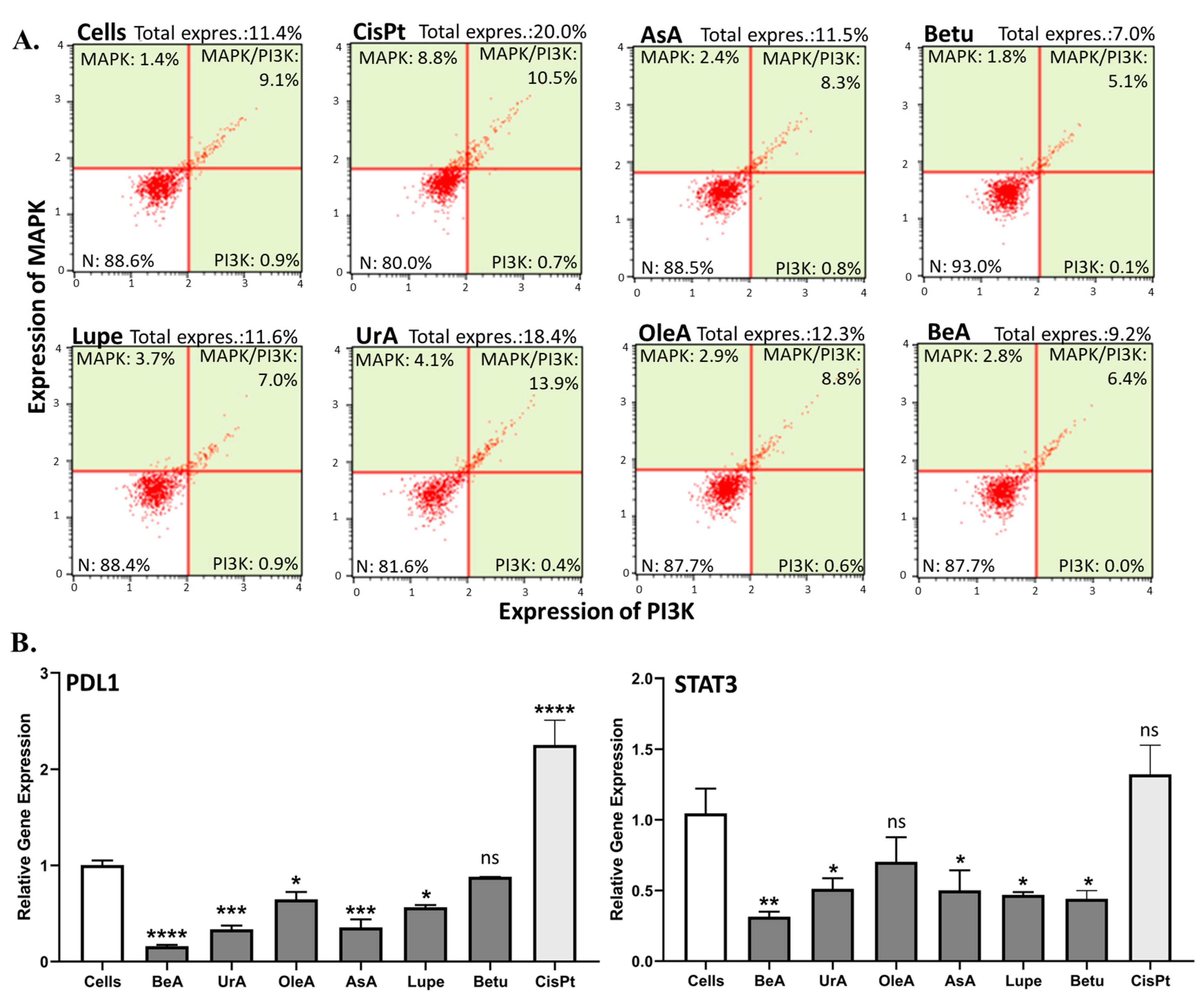 Pharmaceuticals 17 00694 g006