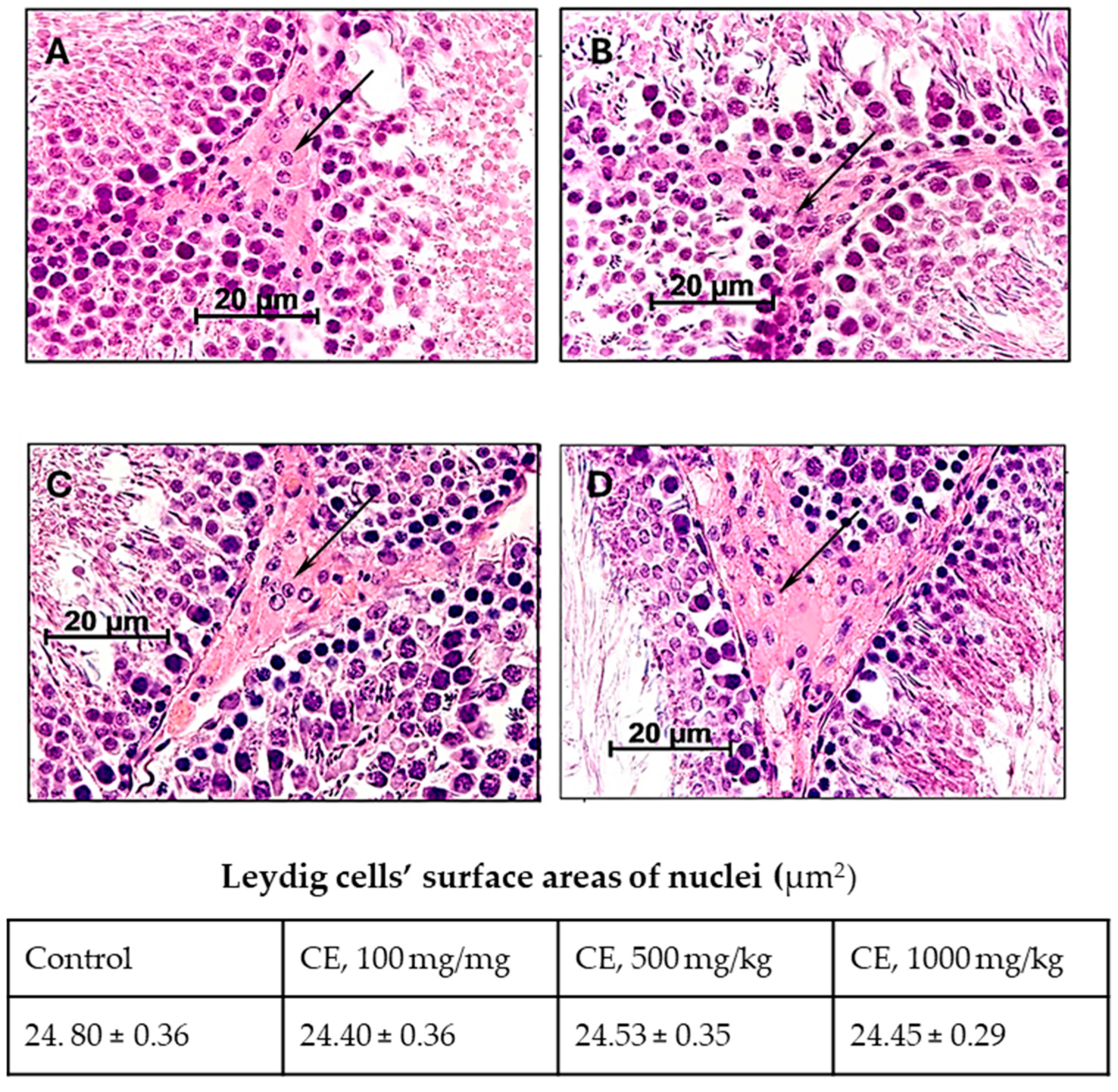 Pharmaceuticals 17 00700 g004