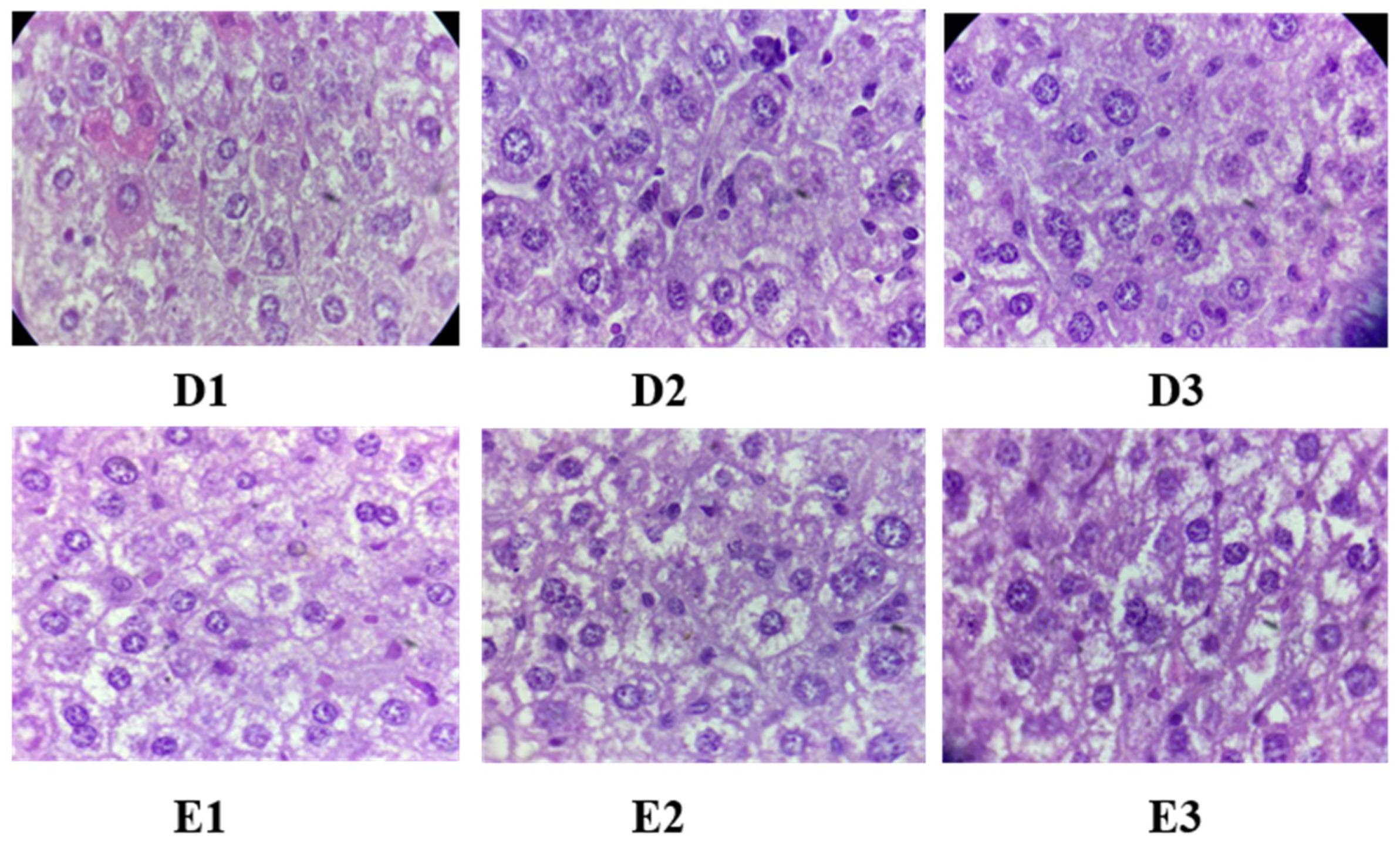Pharmaceuticals 17 00704 g009b