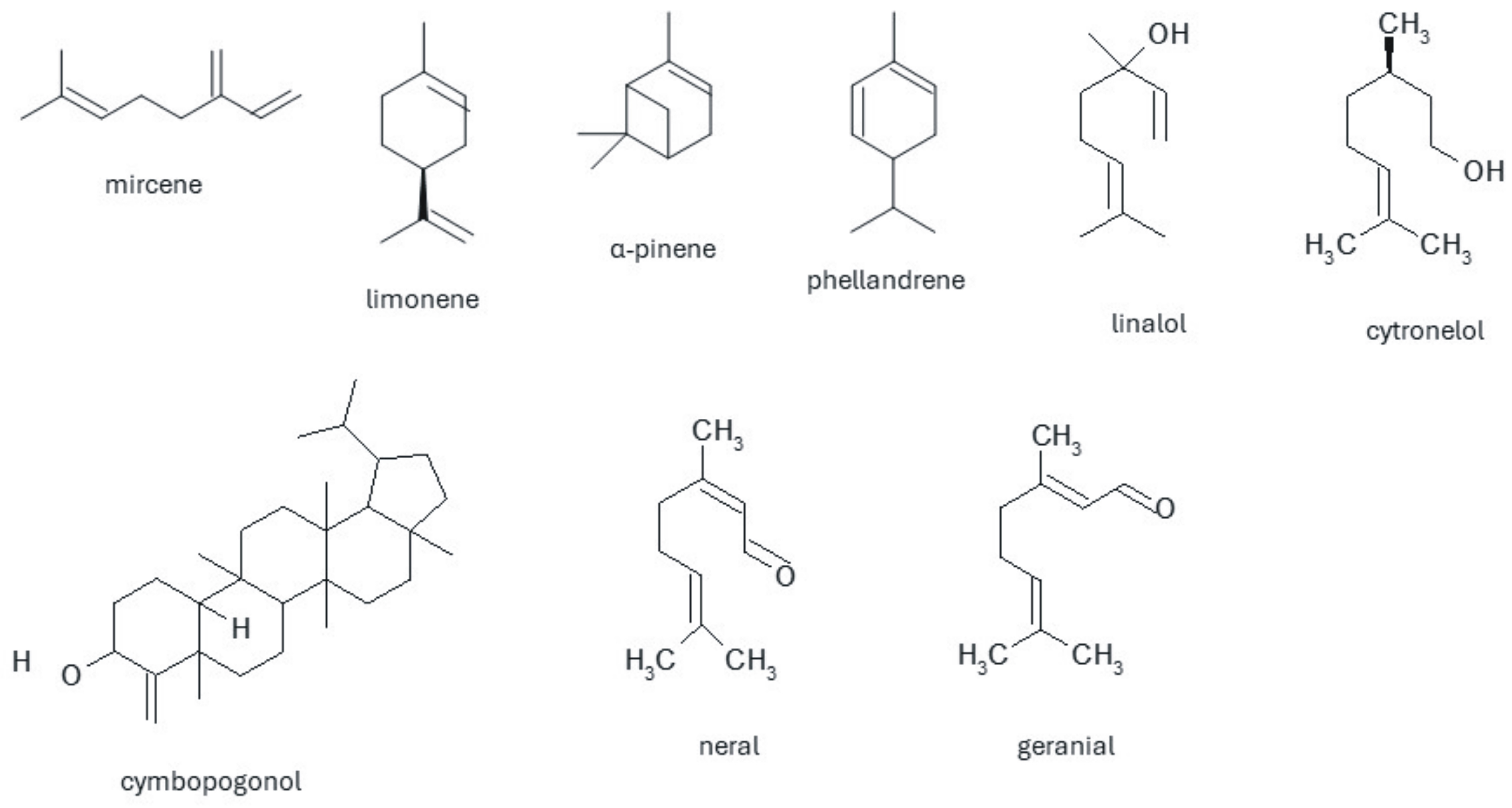 Pharmaceuticals 17 00705 g003