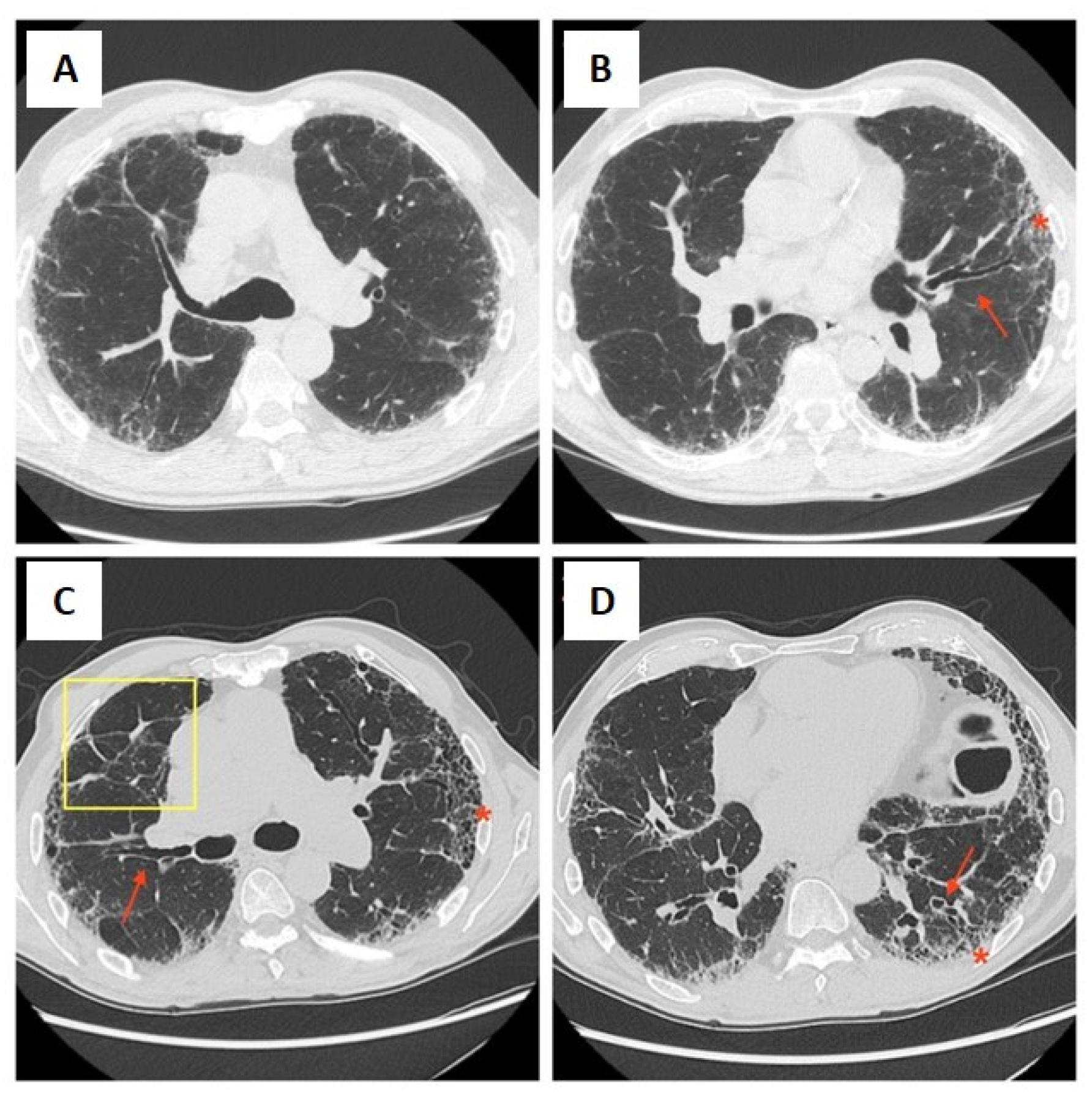 Pharmaceuticals 17 00709 g001