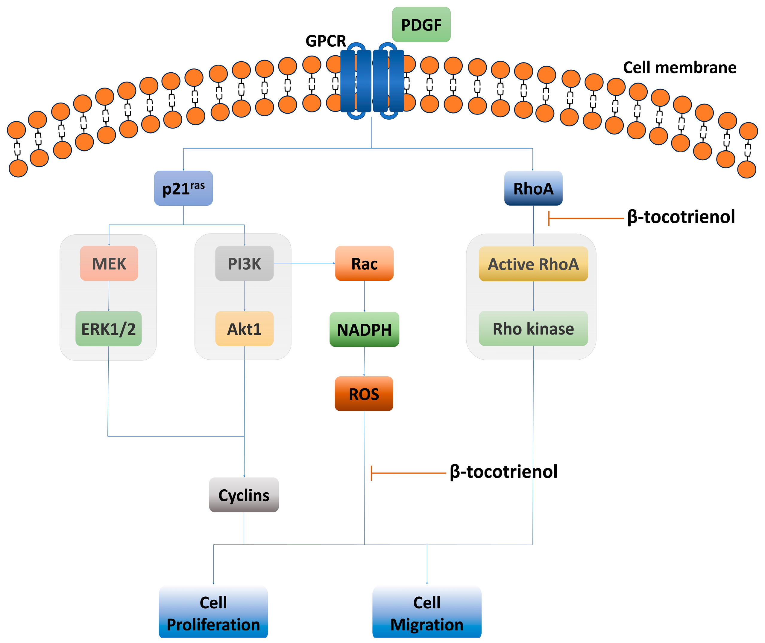 Pharmaceuticals 17 00712 g007