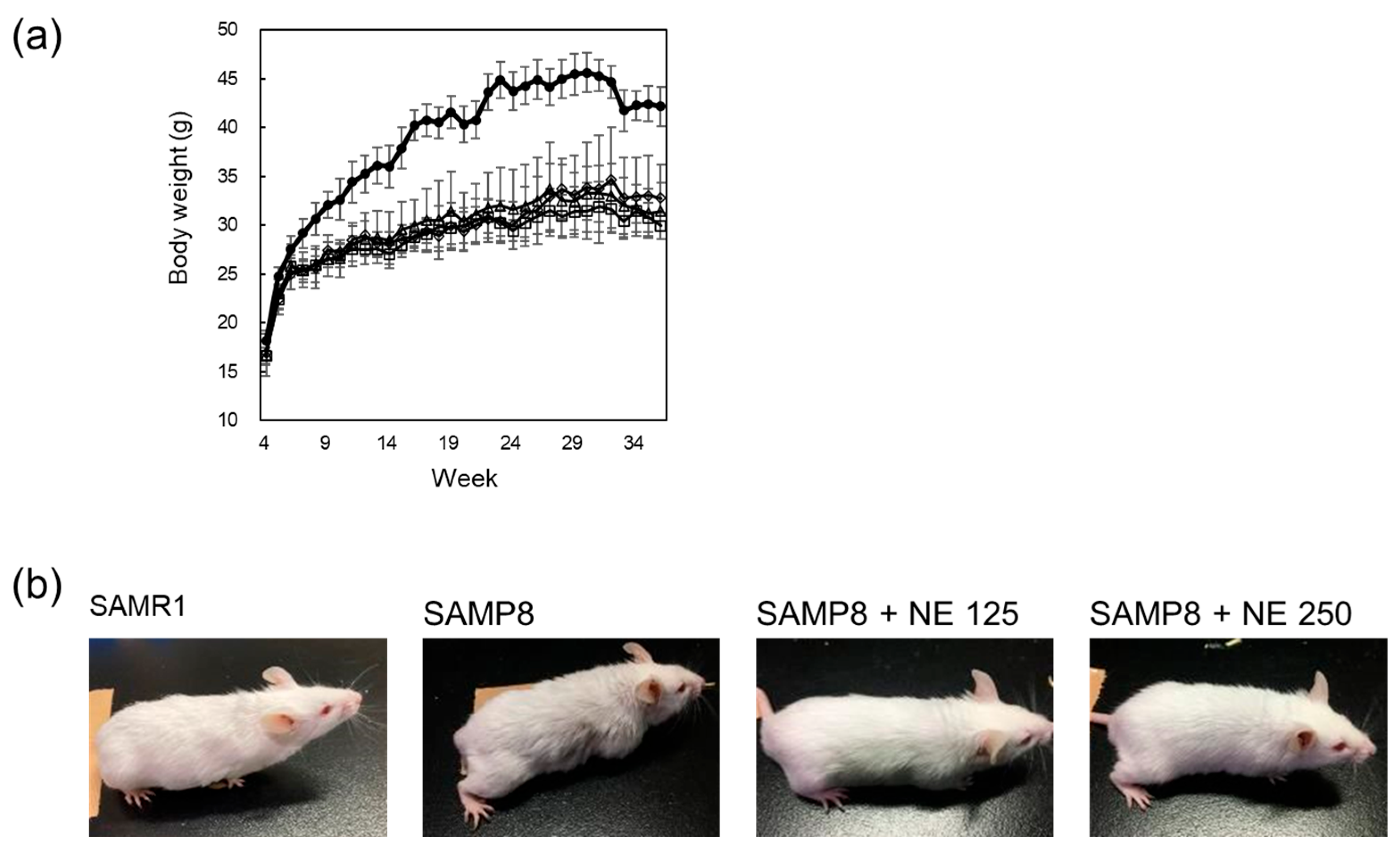 Pharmaceuticals 17 00713 g002