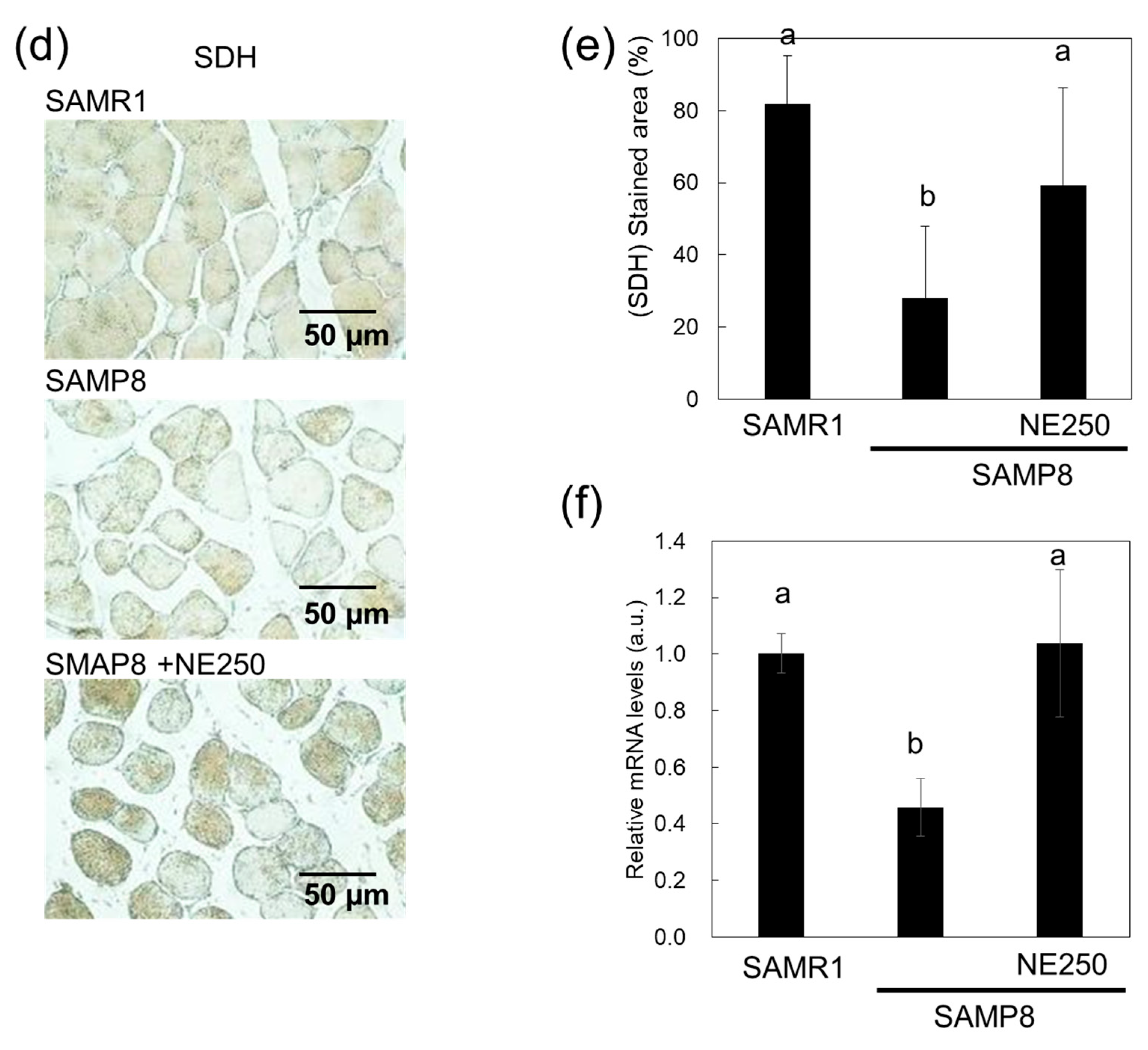 Pharmaceuticals 17 00713 g005b