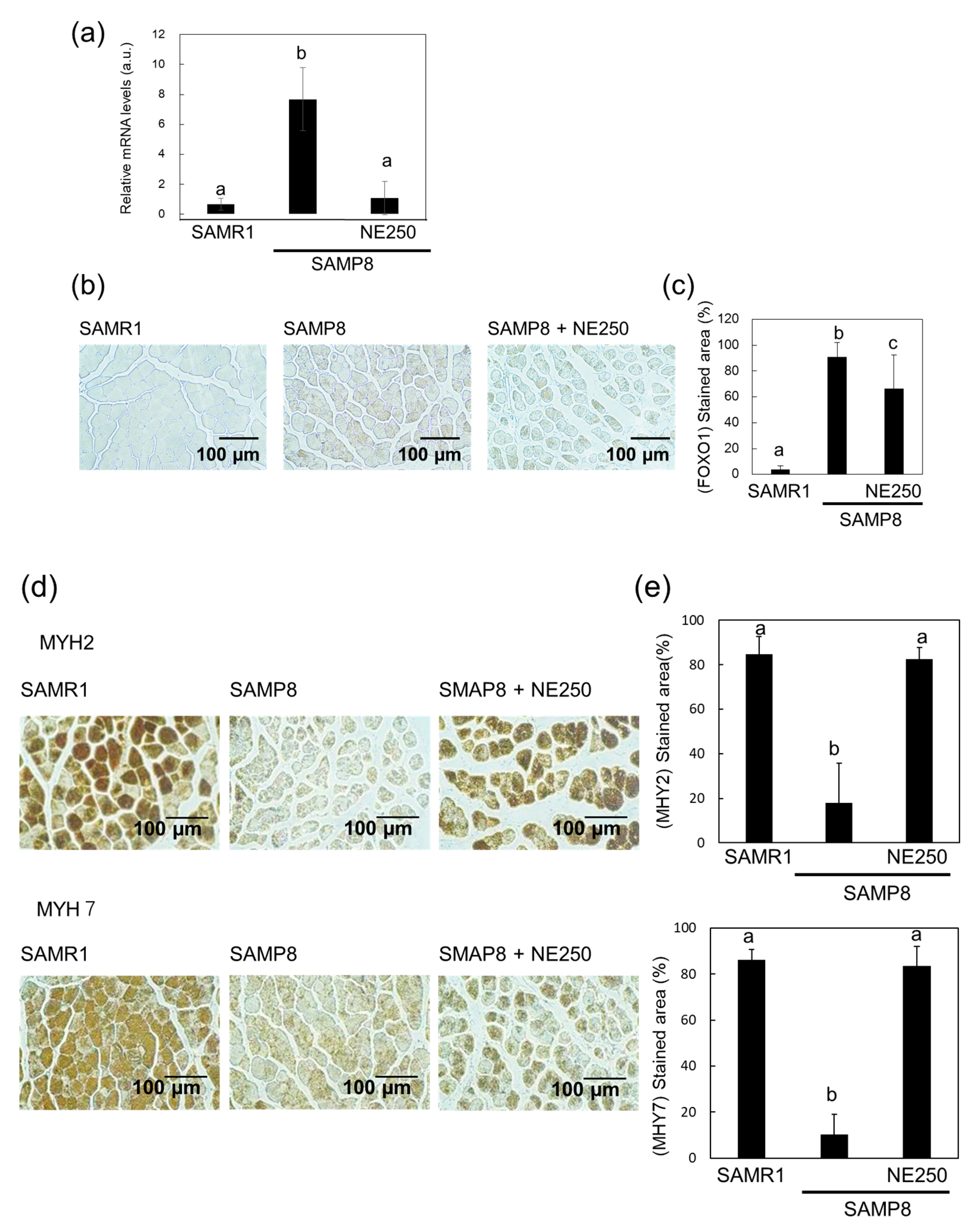 Pharmaceuticals 17 00713 g006