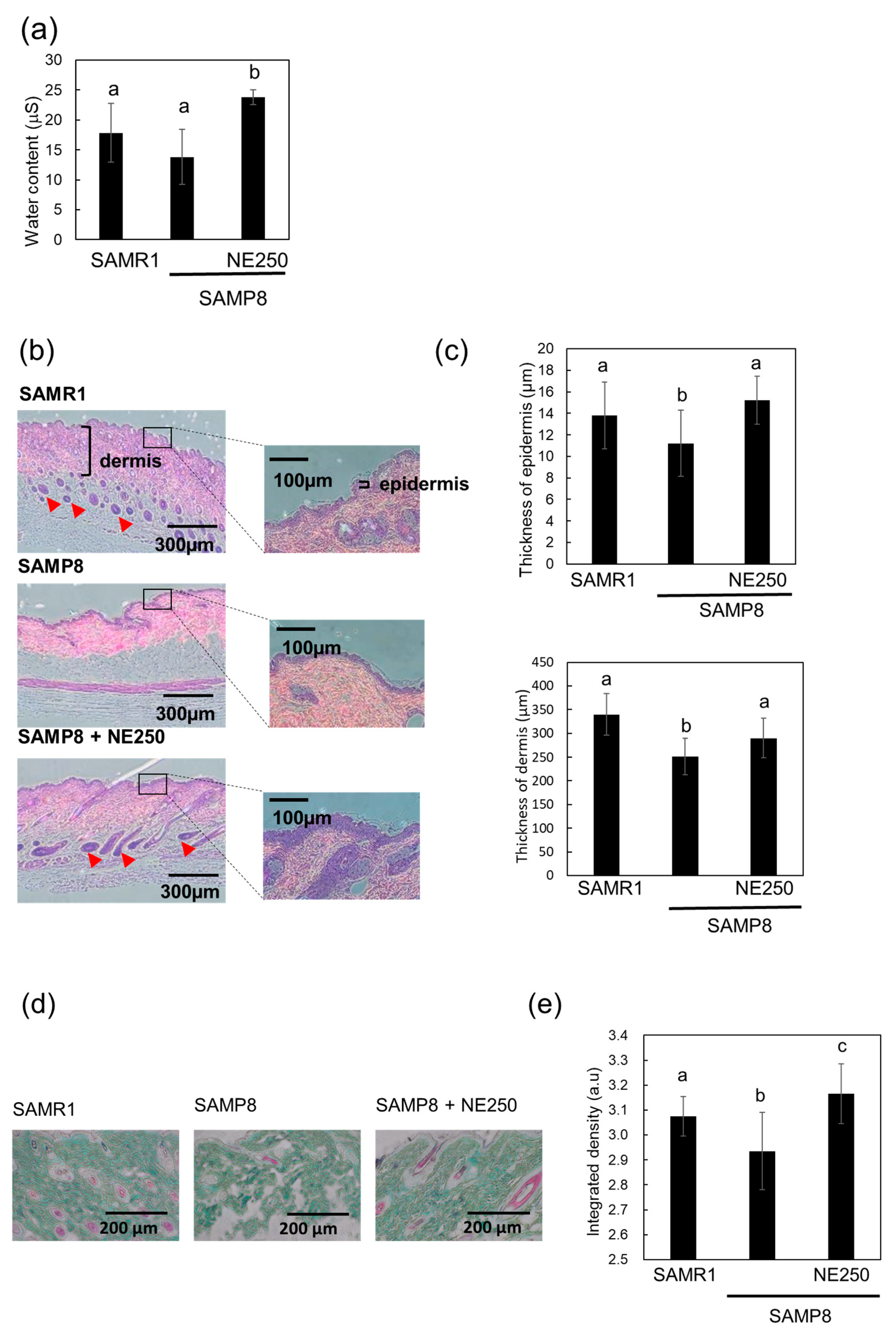 Pharmaceuticals 17 00713 g007a