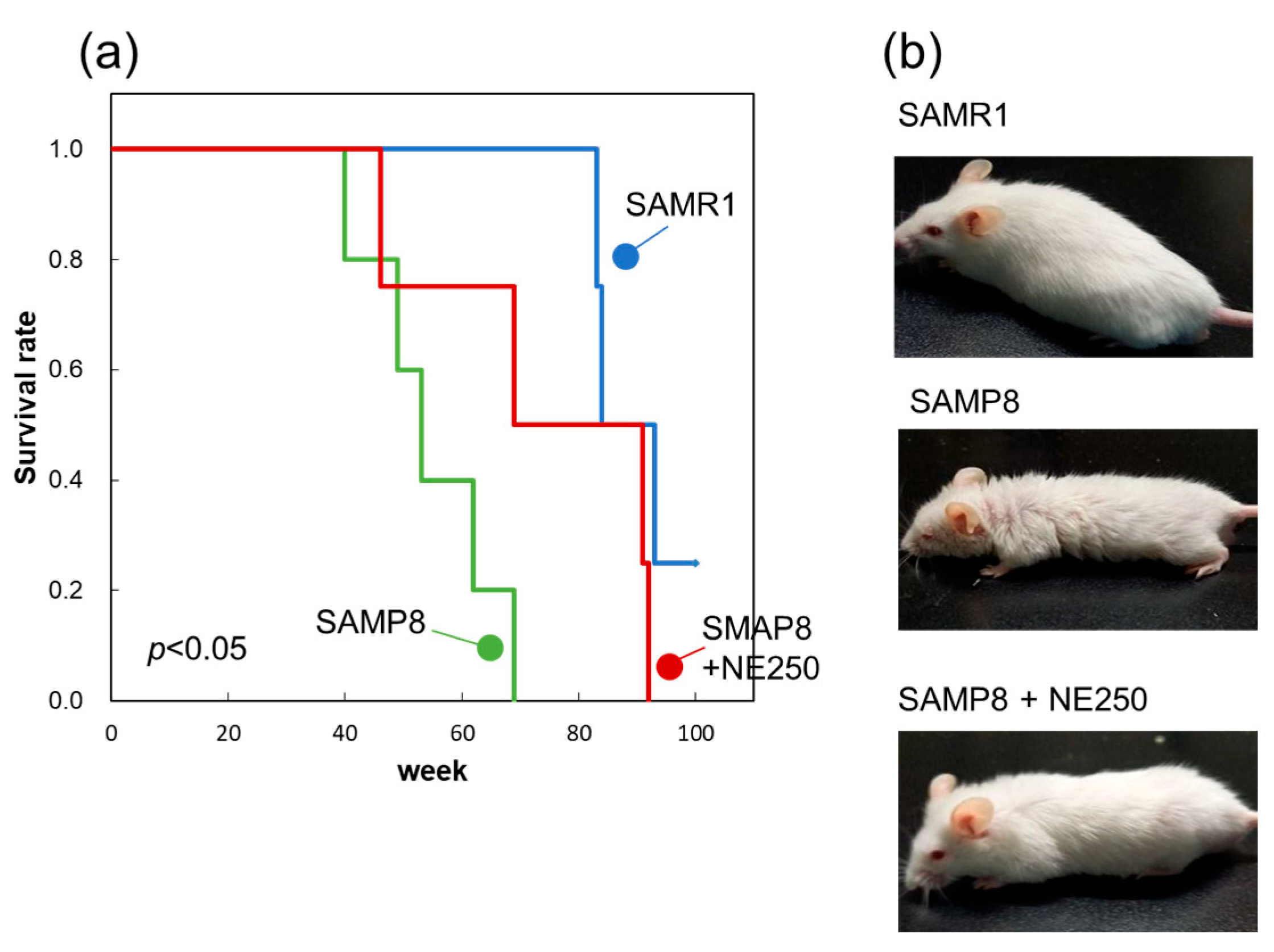 Pharmaceuticals 17 00713 g009