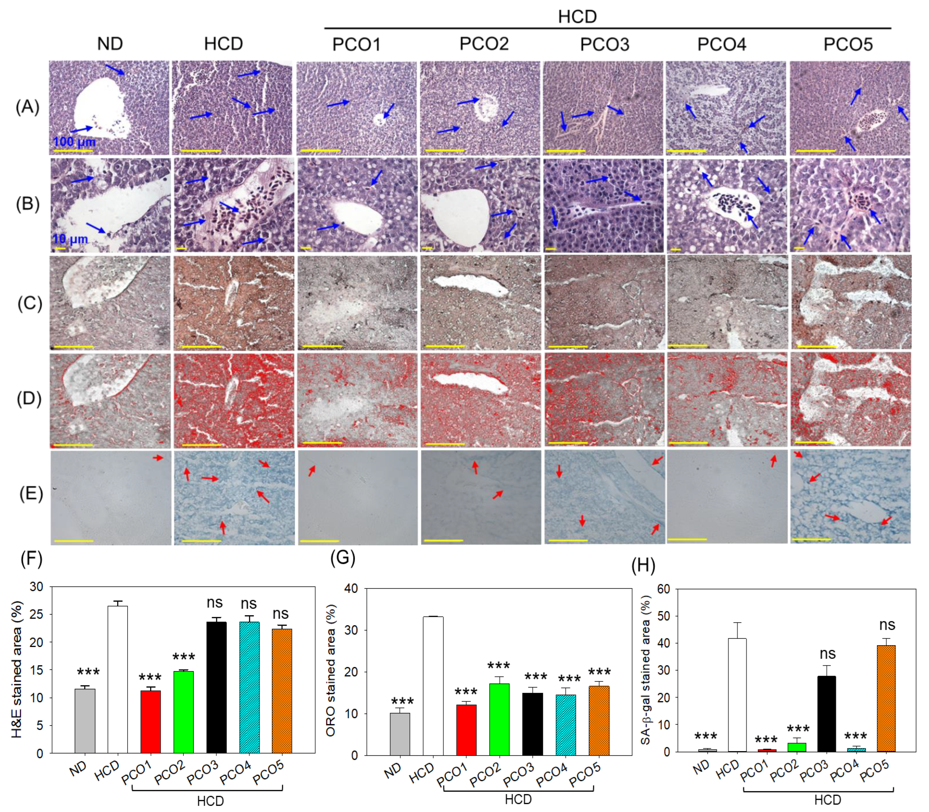Pharmaceuticals 17 00714 g004