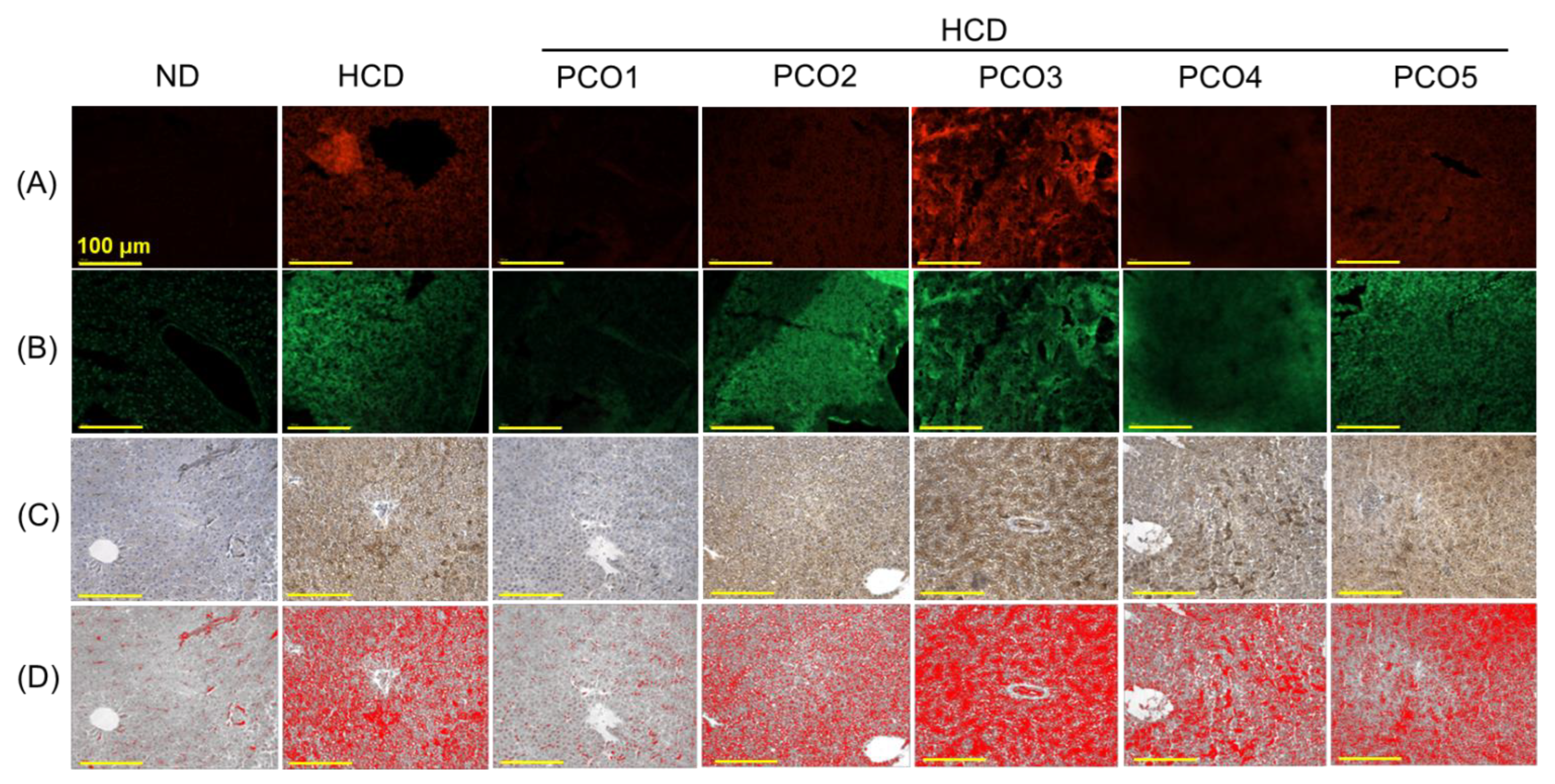 Pharmaceuticals 17 00714 g005a