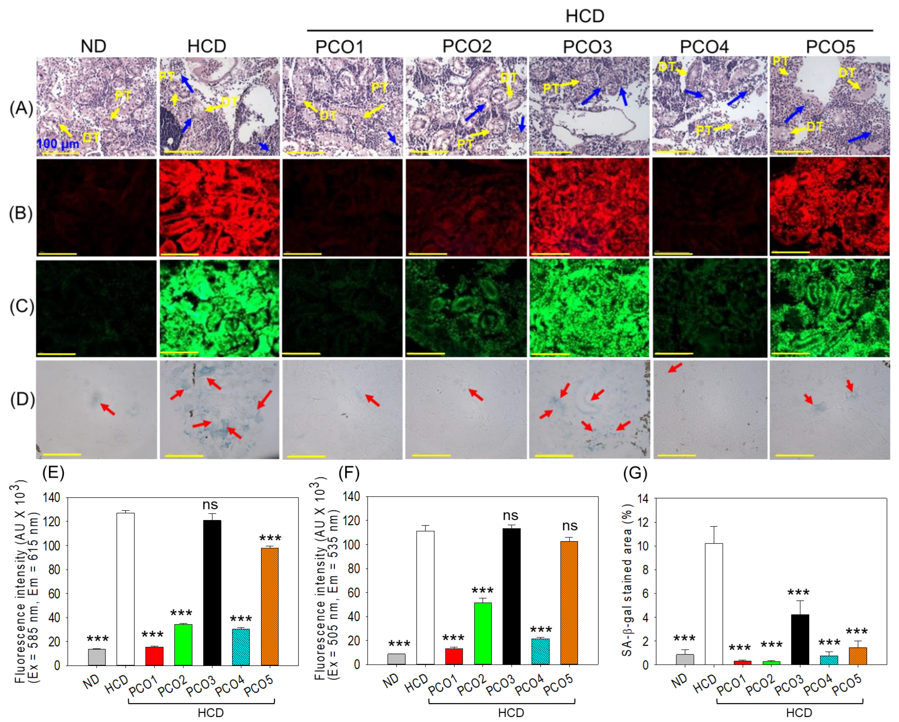 Pharmaceuticals 17 00714 g006
