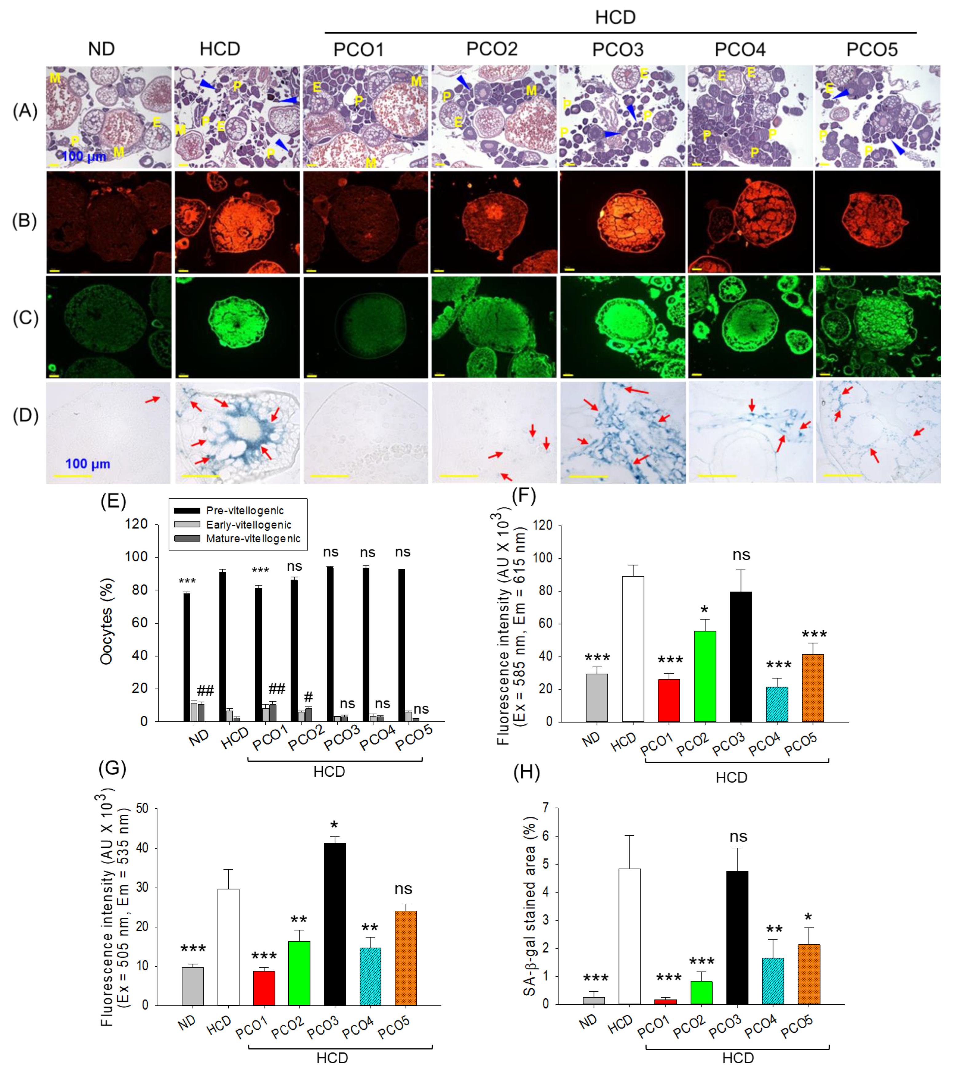 Pharmaceuticals 17 00714 g007