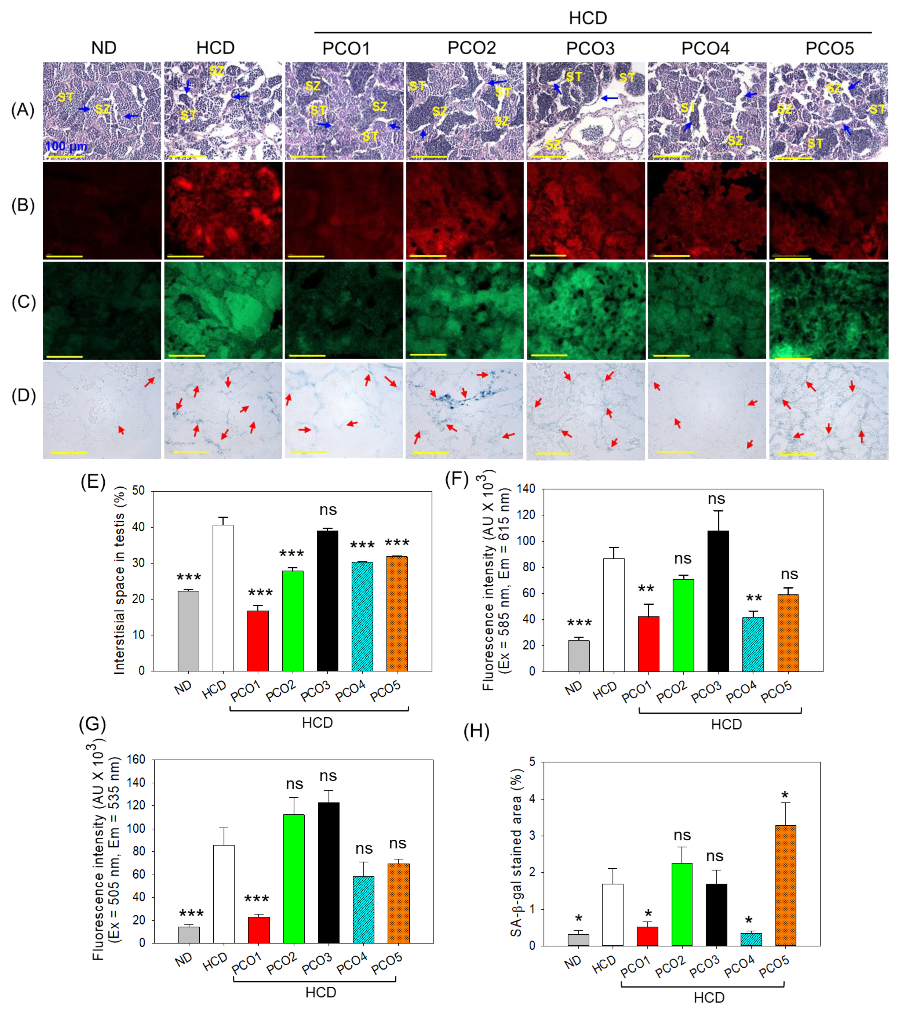 Pharmaceuticals 17 00714 g008