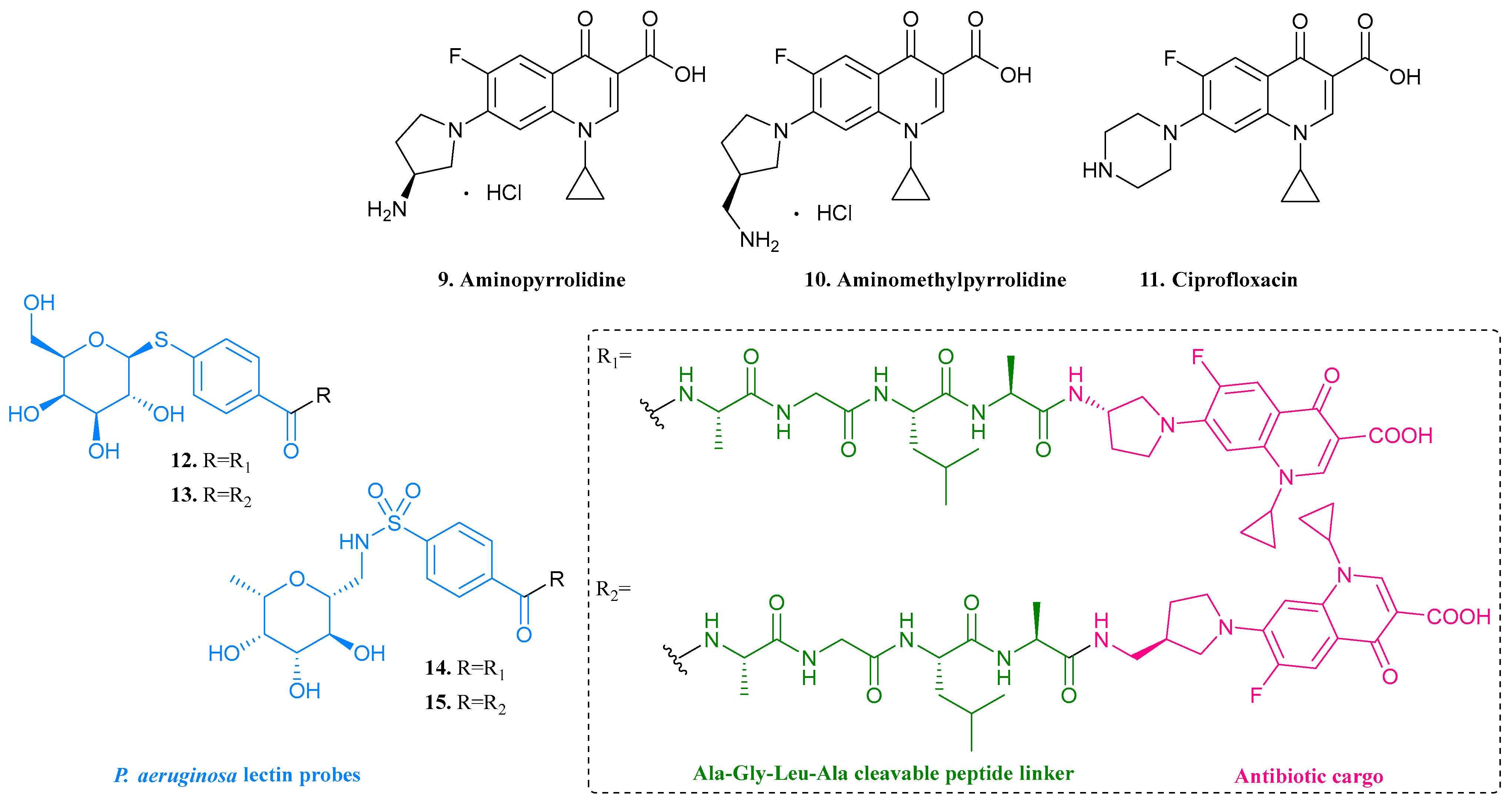 Pharmaceuticals 17 00718 g005