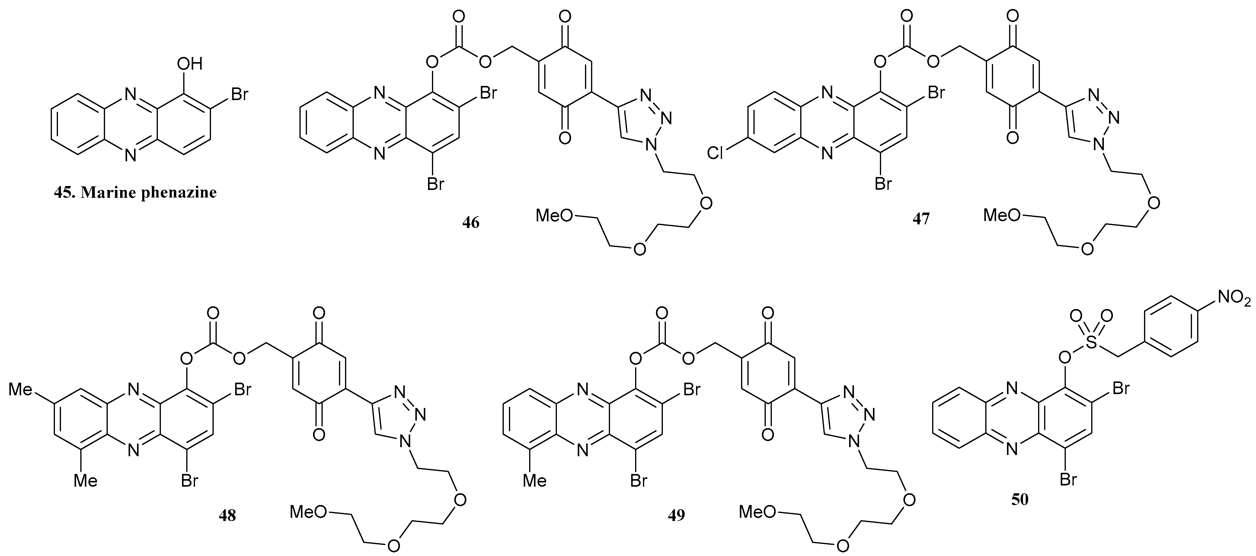 Pharmaceuticals 17 00718 g015