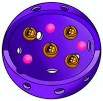 Pharmaceuticals 17 00718 i052