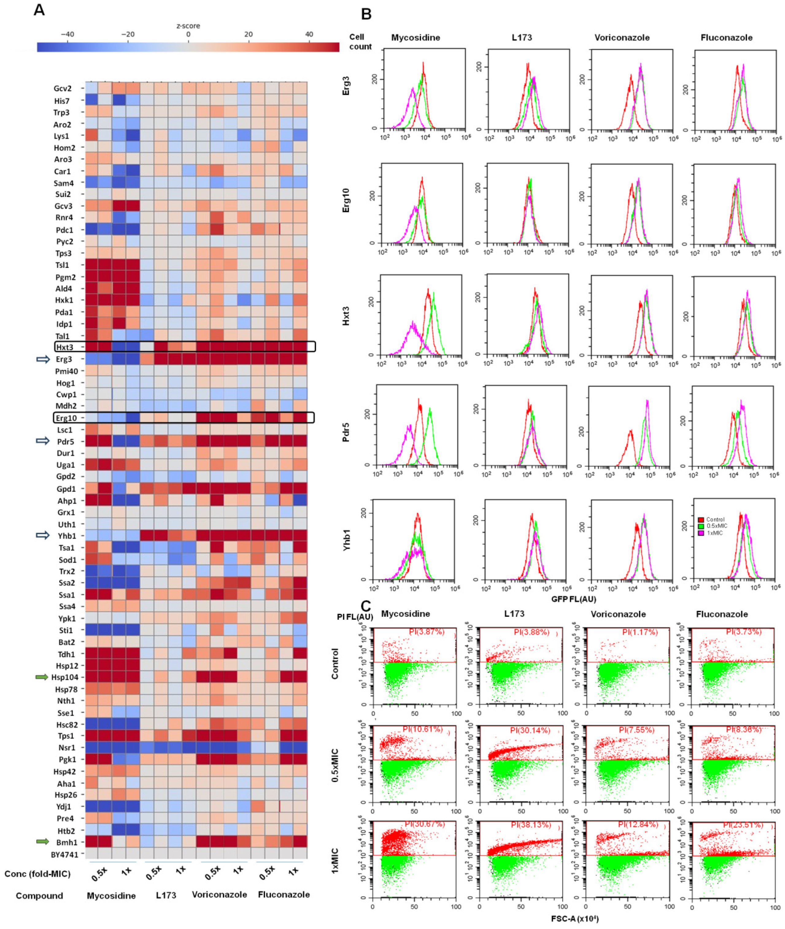Pharmaceuticals 17 00723 g007