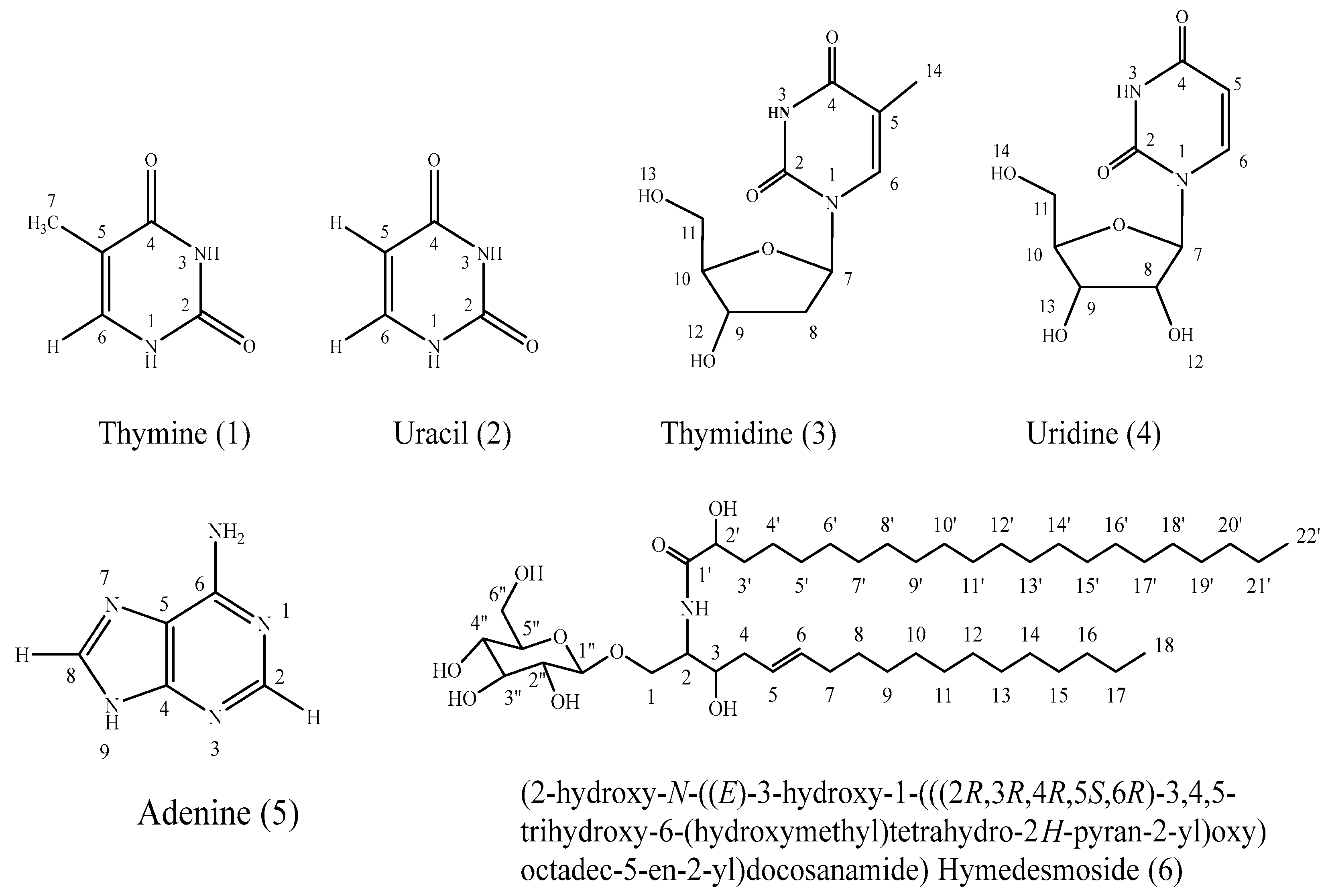 Pharmaceuticals 17 00724 g001