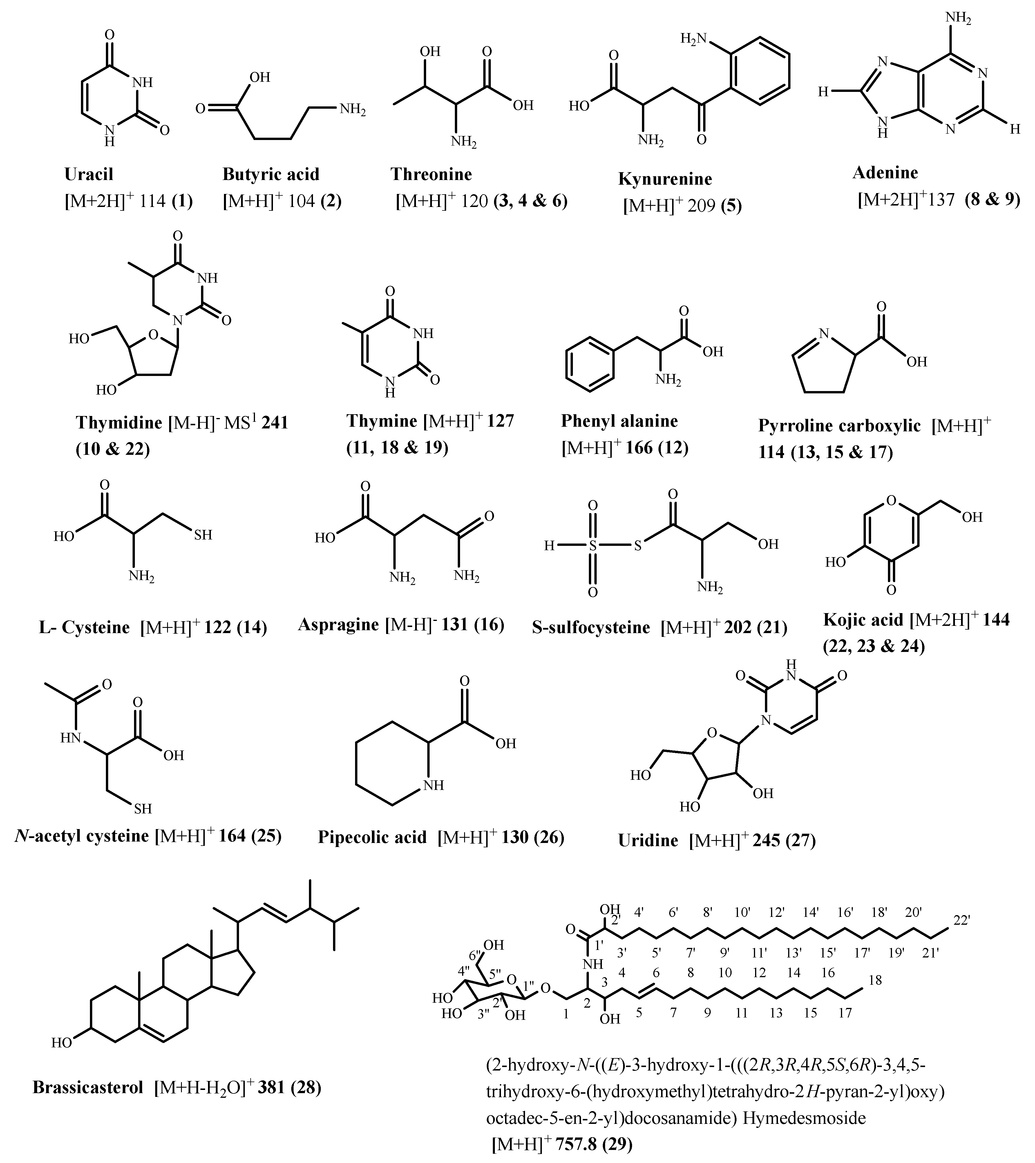 Pharmaceuticals 17 00724 g003