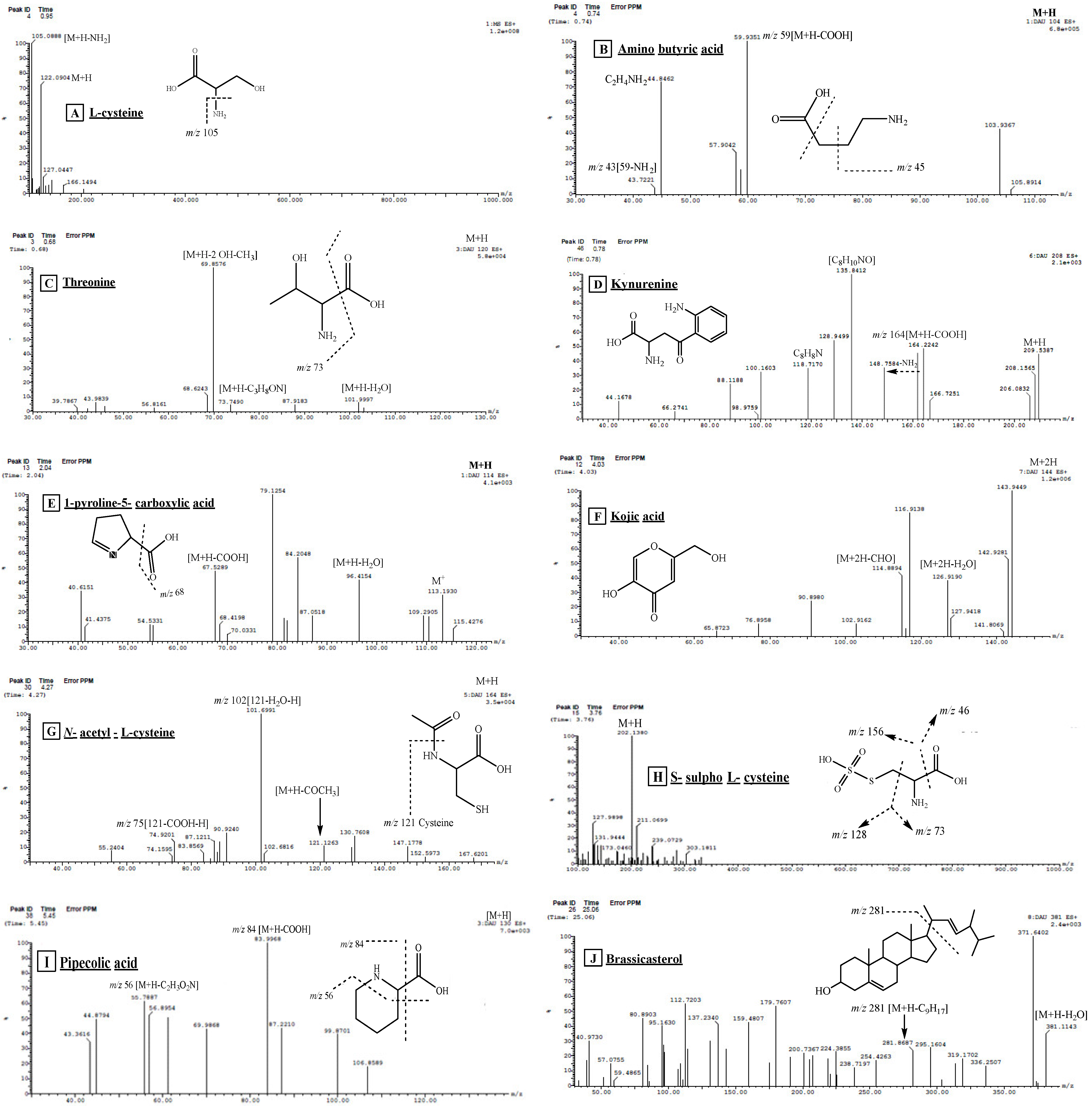 Pharmaceuticals 17 00724 g004