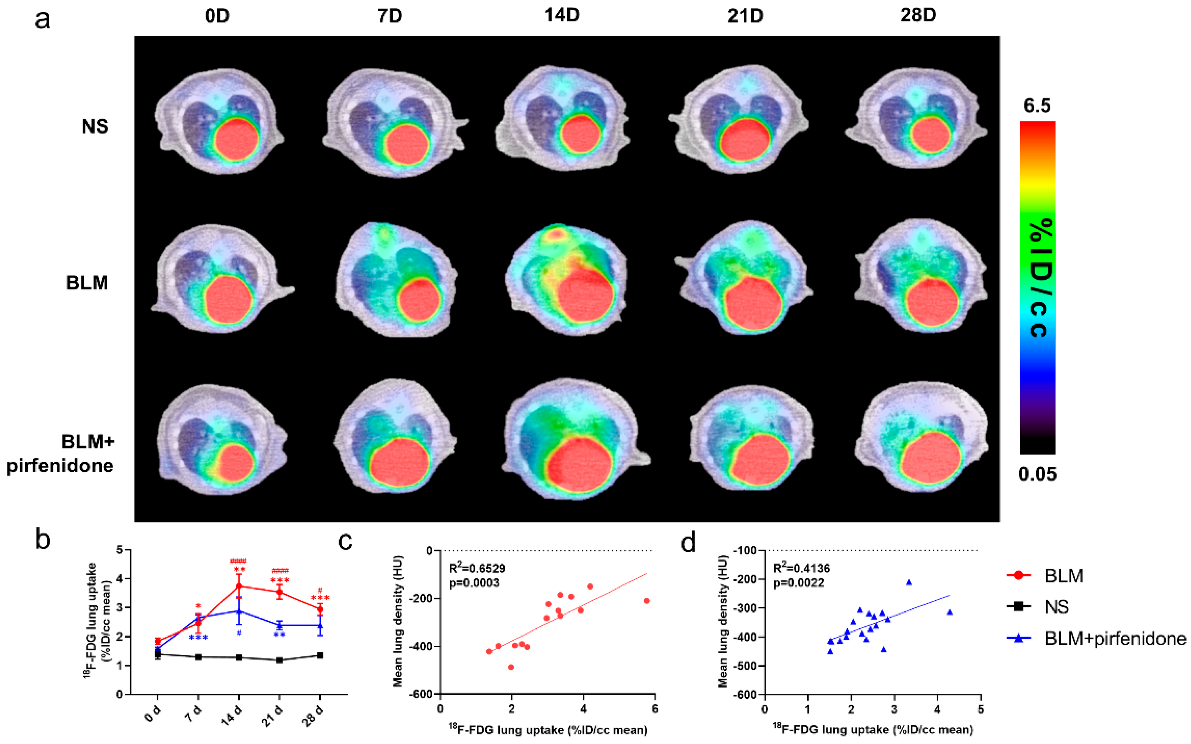 Pharmaceuticals 17 00726 g005 Pharmaceuticals 17 00726 g005