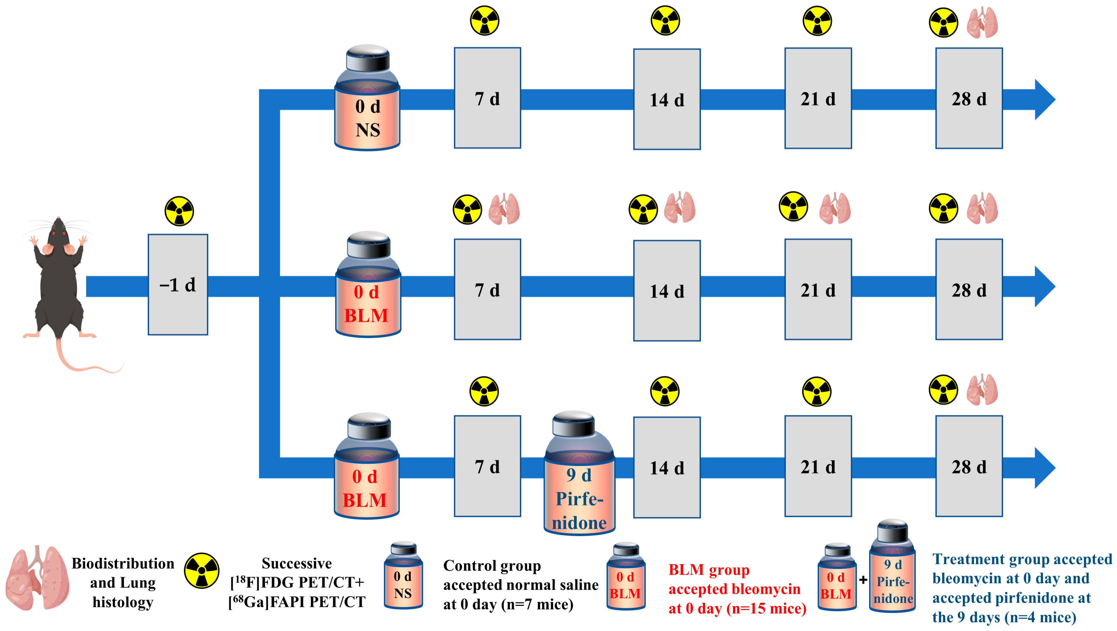 Pharmaceuticals 17 00726 g009 Pharmaceuticals 17 00726 g009