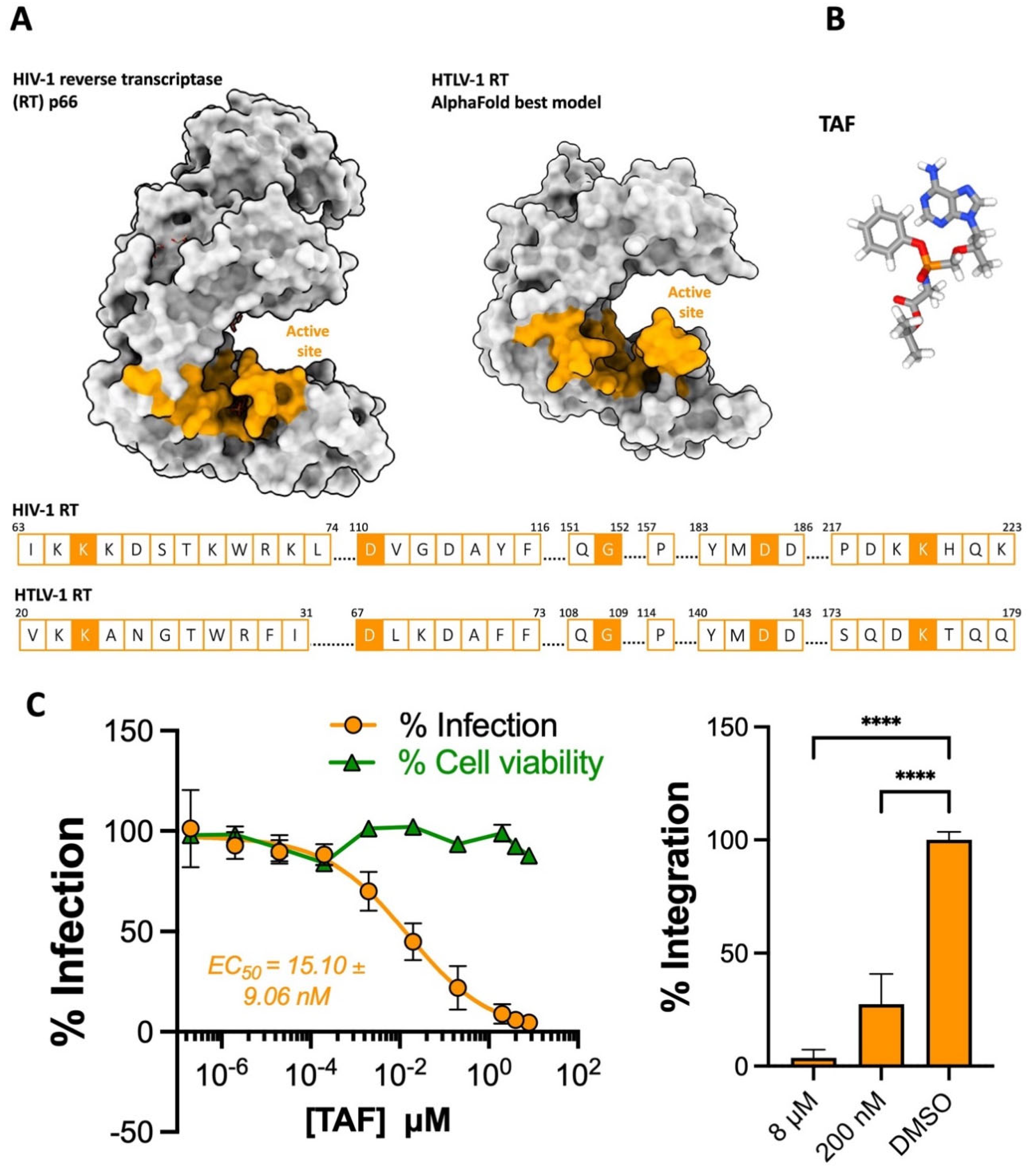 Pharmaceuticals 17 00730 g001