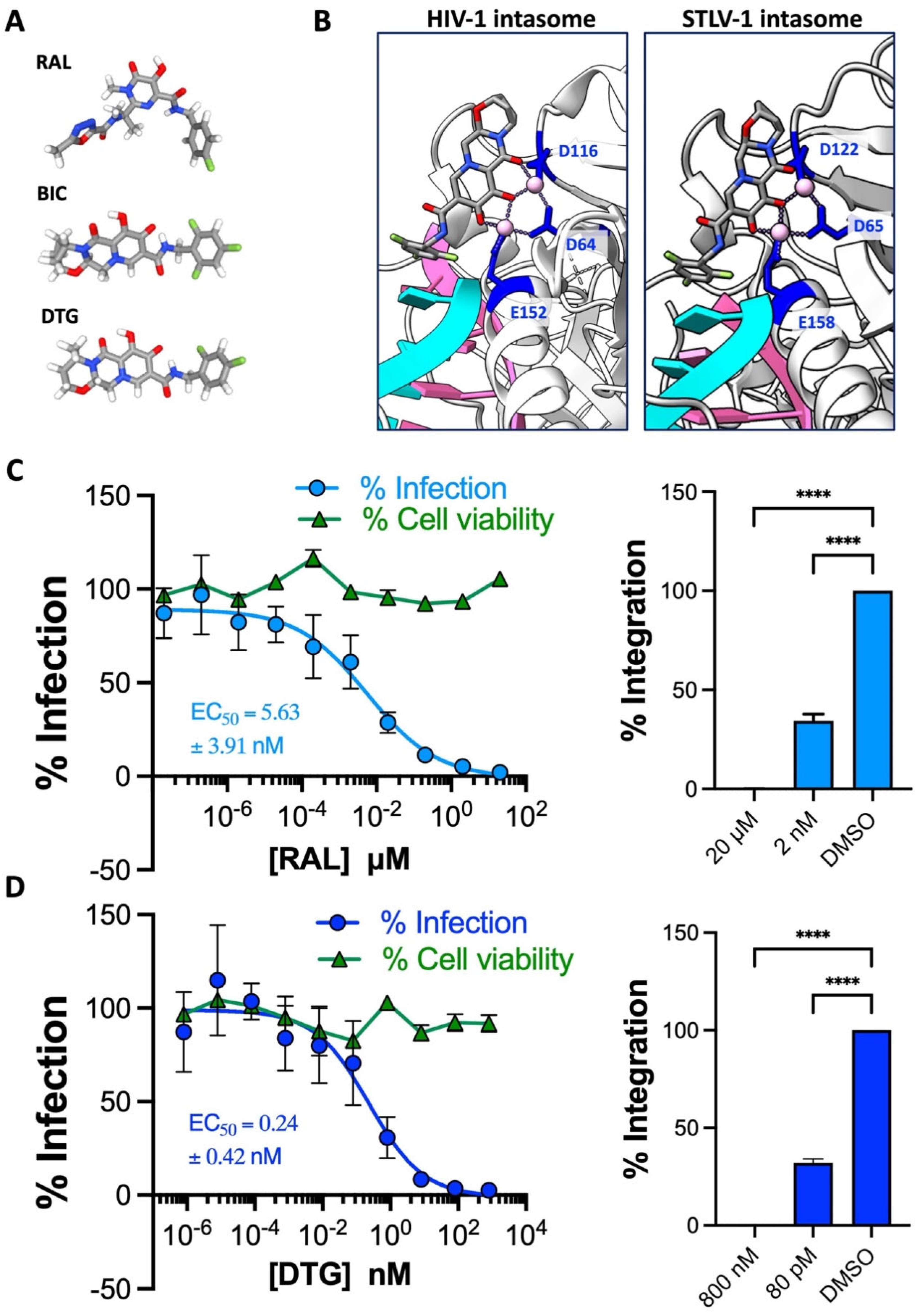 Pharmaceuticals 17 00730 g002