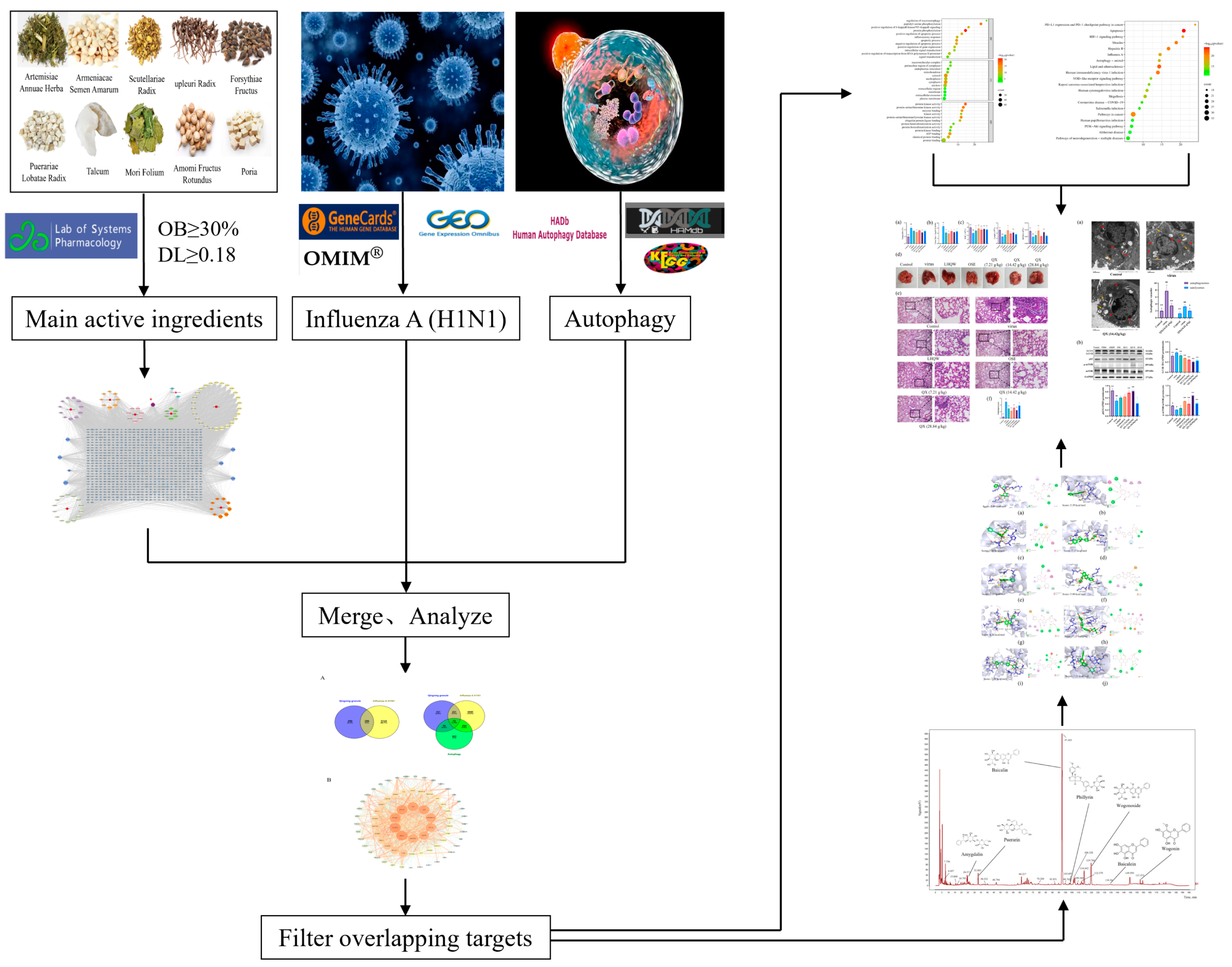 Pharmaceuticals 17 00731 g001