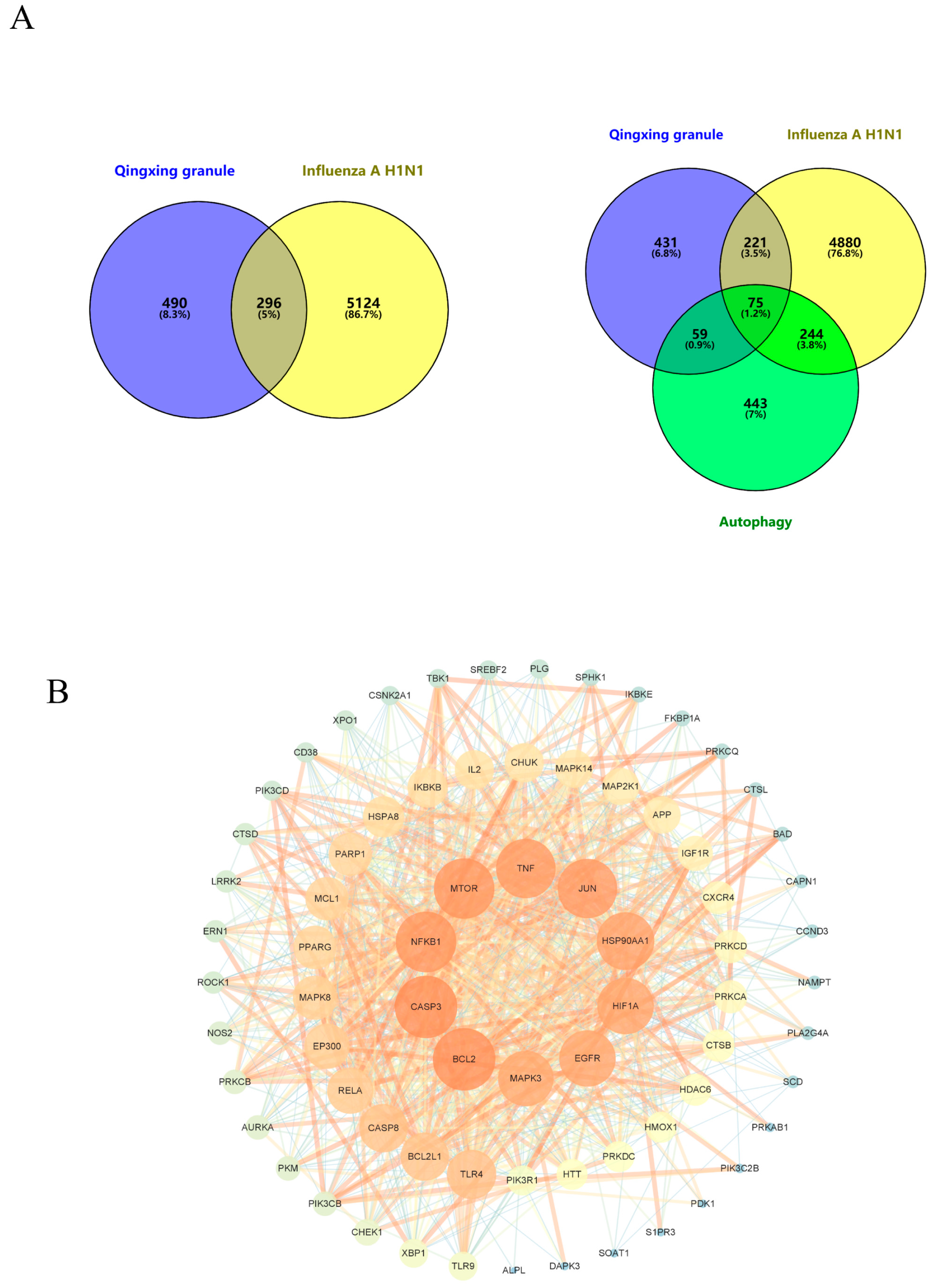 Pharmaceuticals 17 00731 g003