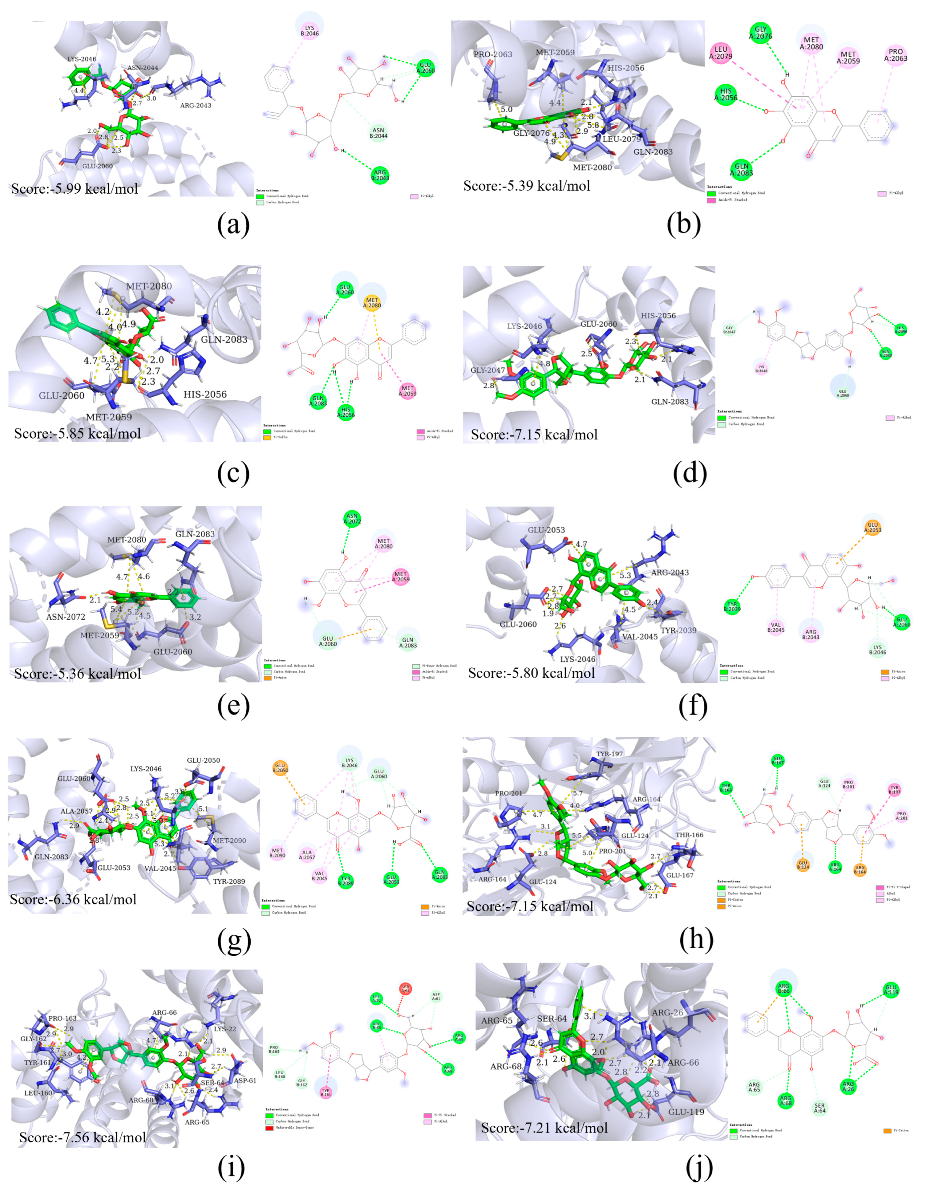 Pharmaceuticals 17 00731 g007
