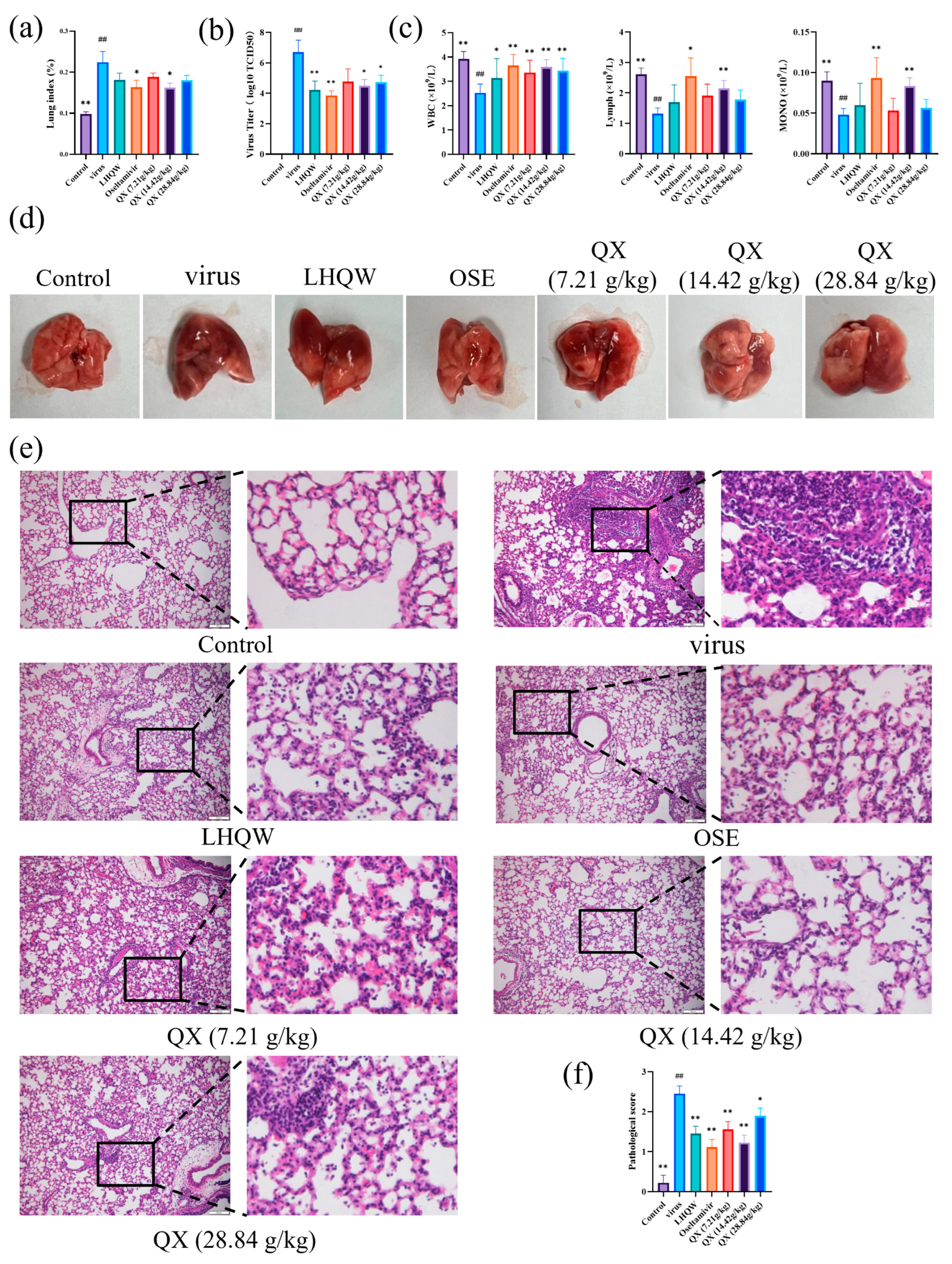Pharmaceuticals 17 00731 g008