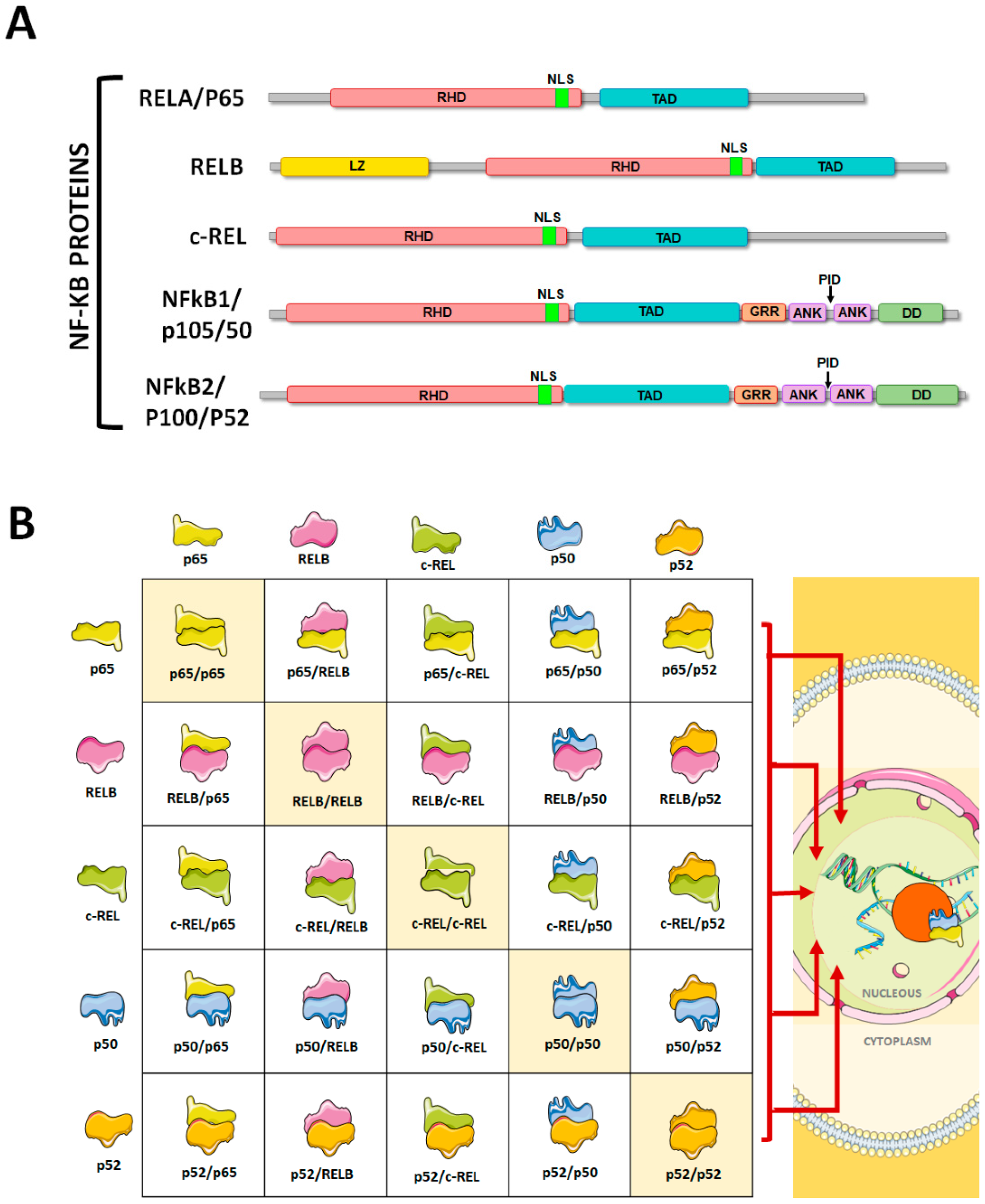 Pharmaceuticals 17 00734 g001 Pharmaceuticals 17 00734 g001
