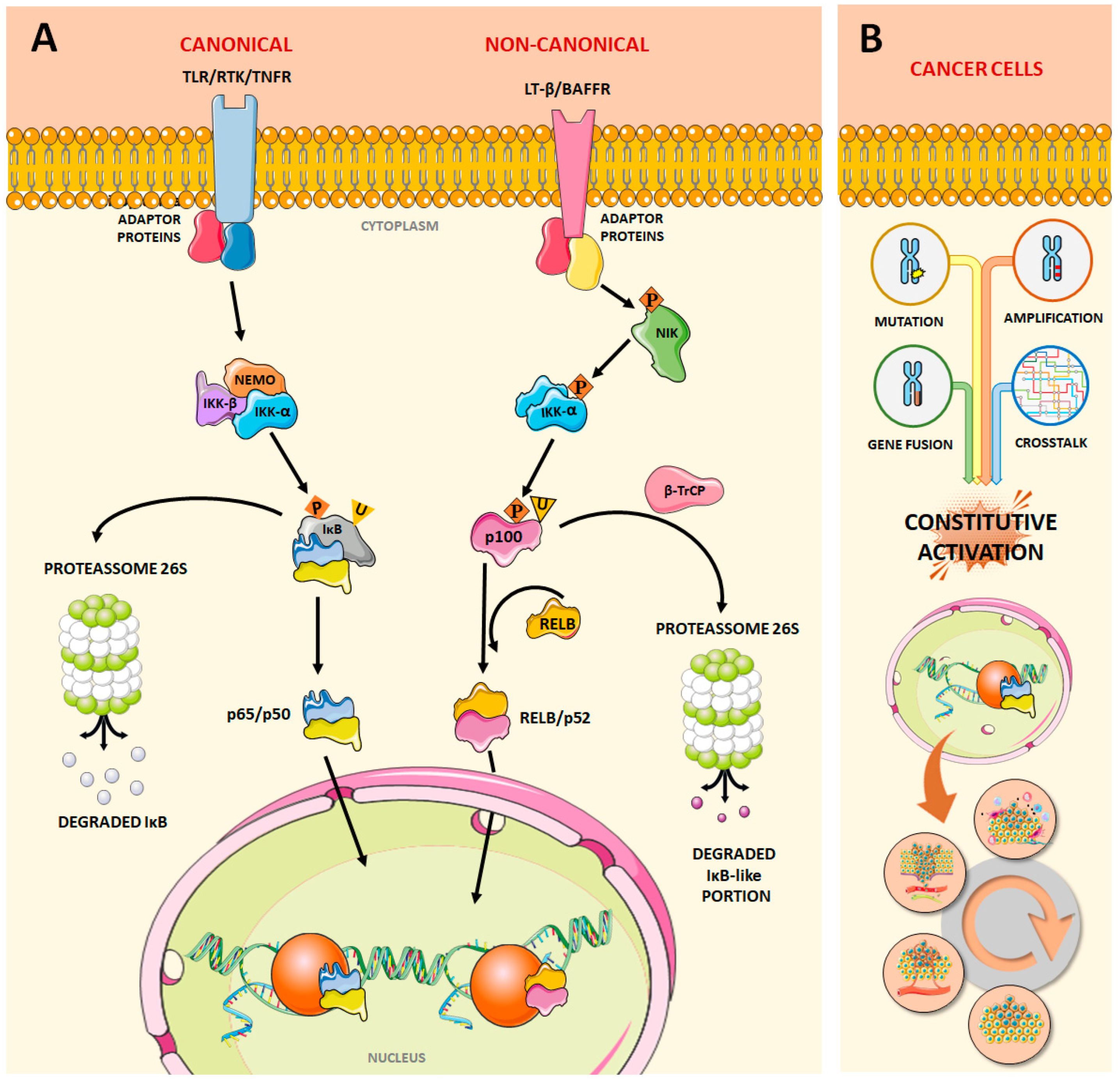 Pharmaceuticals 17 00734 g002 Pharmaceuticals 17 00734 g002