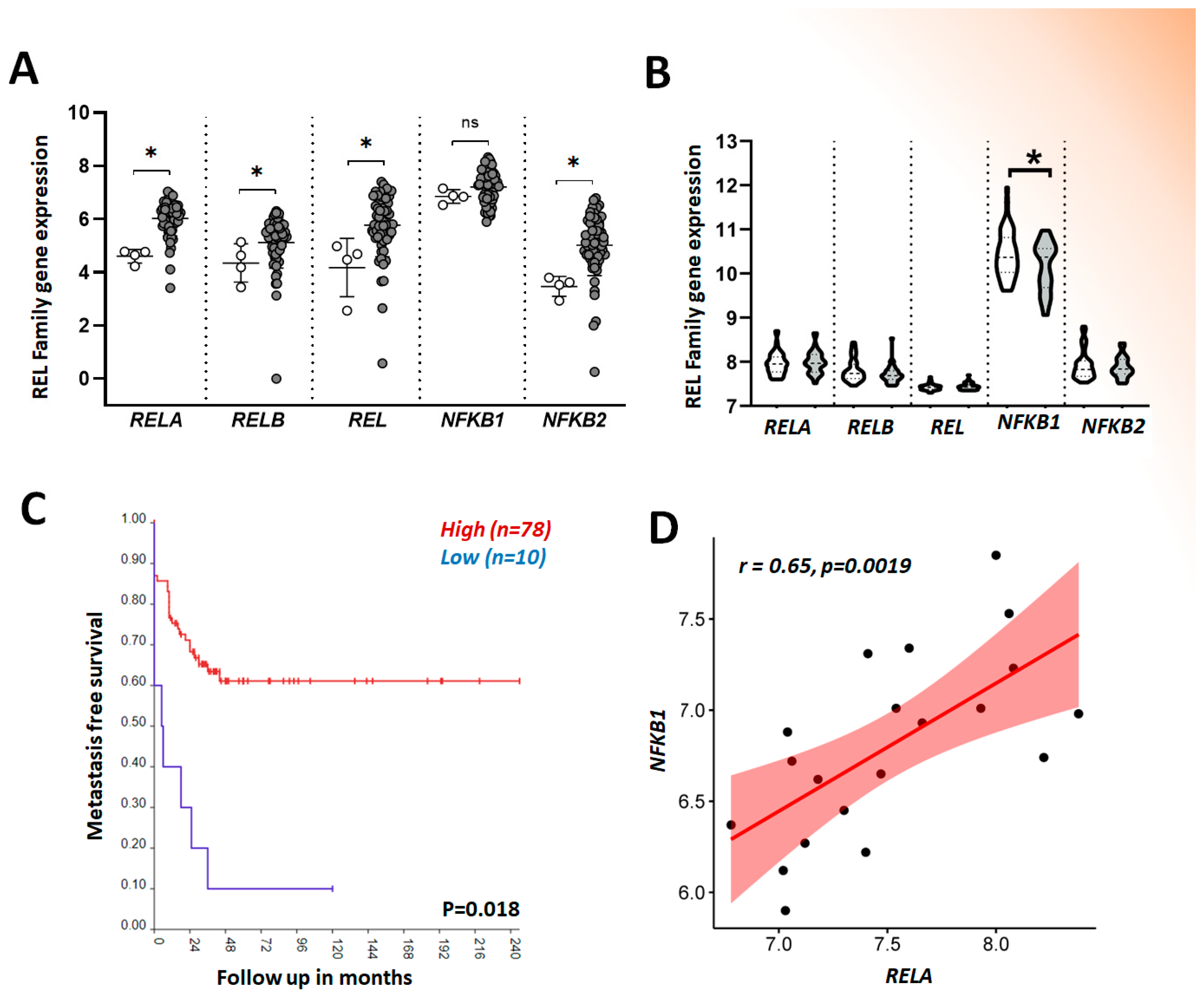 Pharmaceuticals 17 00734 g005 Pharmaceuticals 17 00734 g005