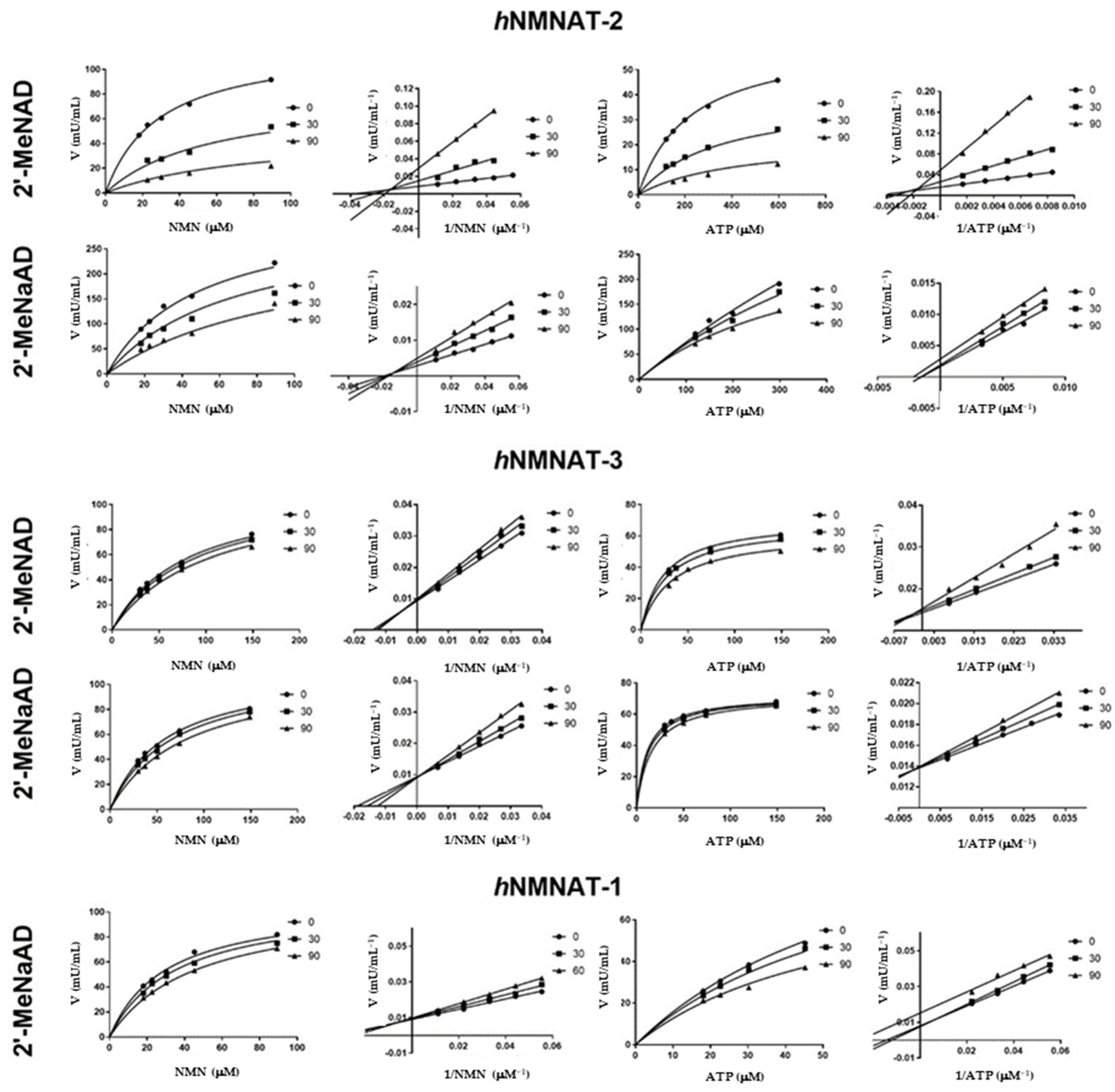 Pharmaceuticals 17 00739 g002