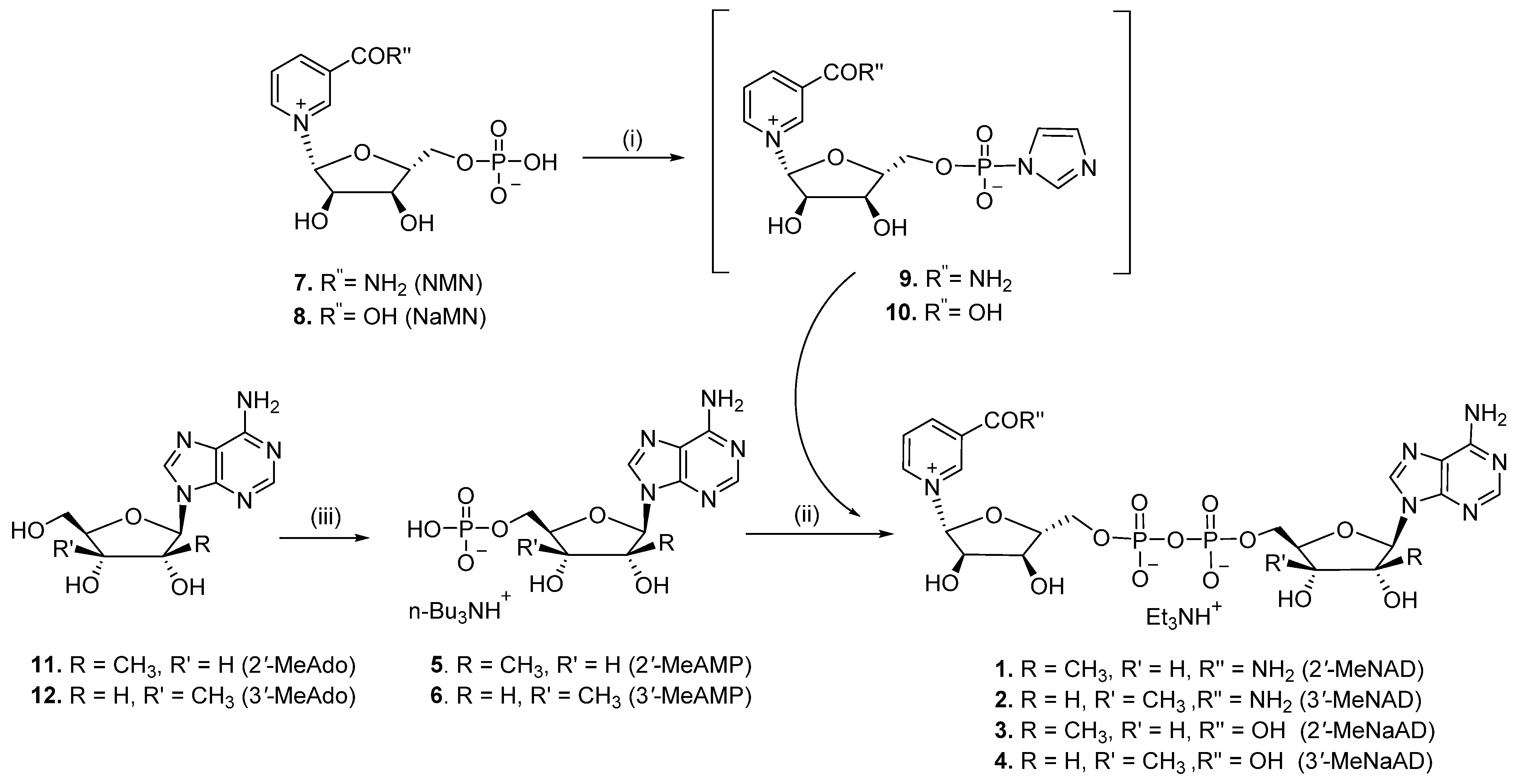 Pharmaceuticals 17 00739 sch001